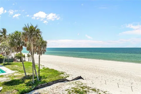 a view of a yard with palm trees