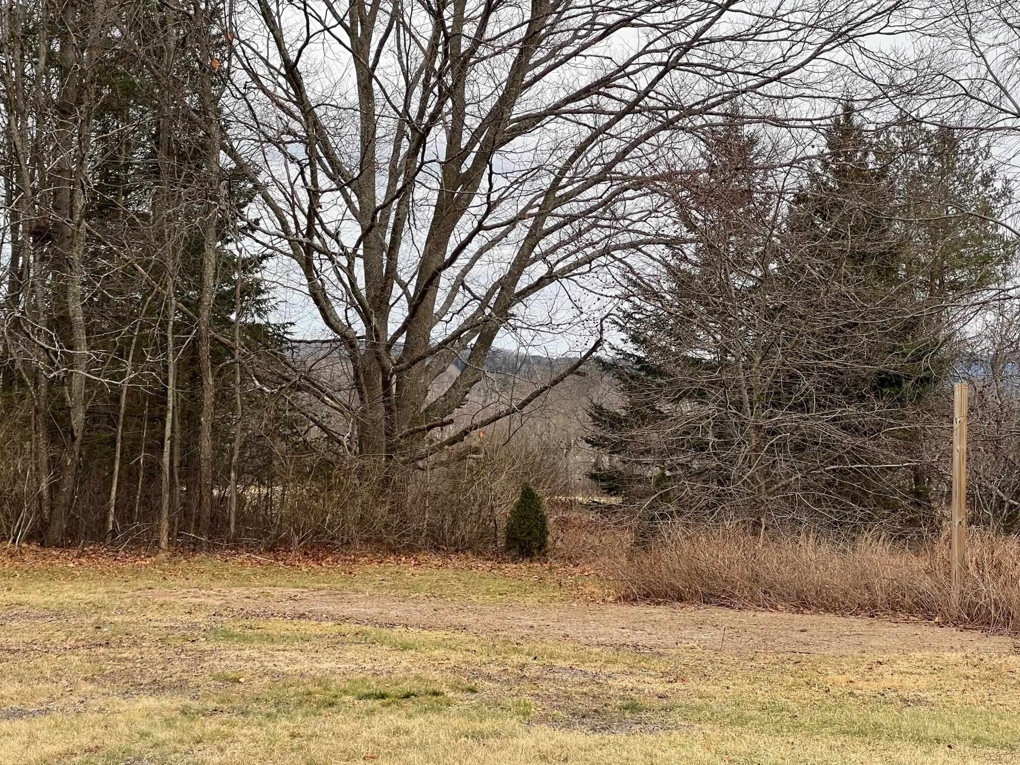 744 Milan Road Milan, NH 03588 - Photo 17 of 32