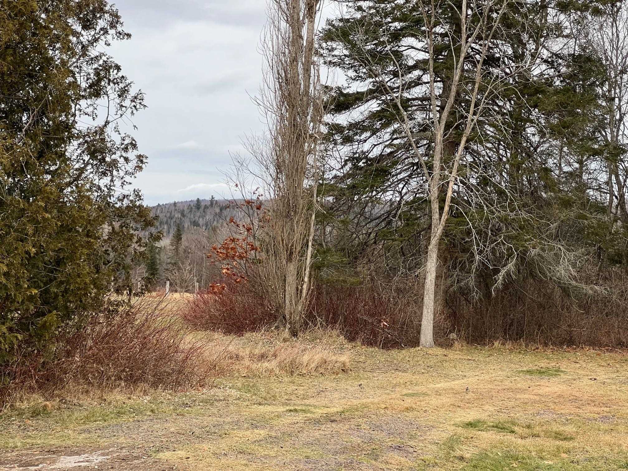 744 Milan Road Milan, NH 03588 - Photo 21 of 32