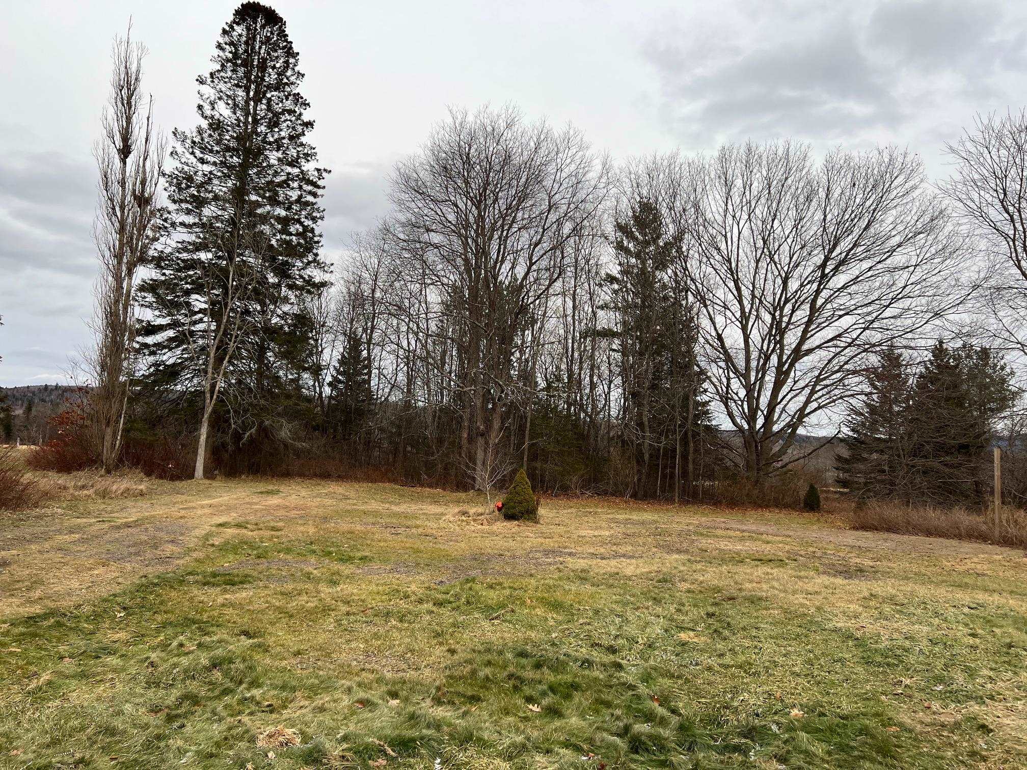 744 Milan Road Milan, NH 03588 - Photo 22 of 32