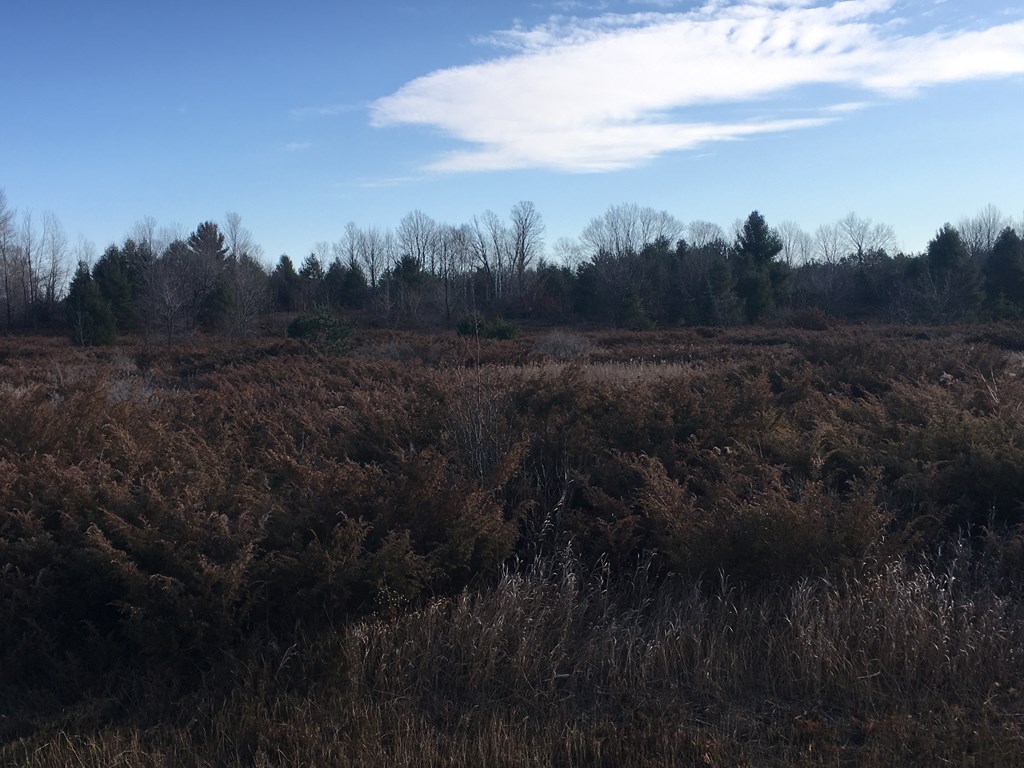 0 Maple Grove Road Fish Creek, WI 54212 - Photo 3 of 5