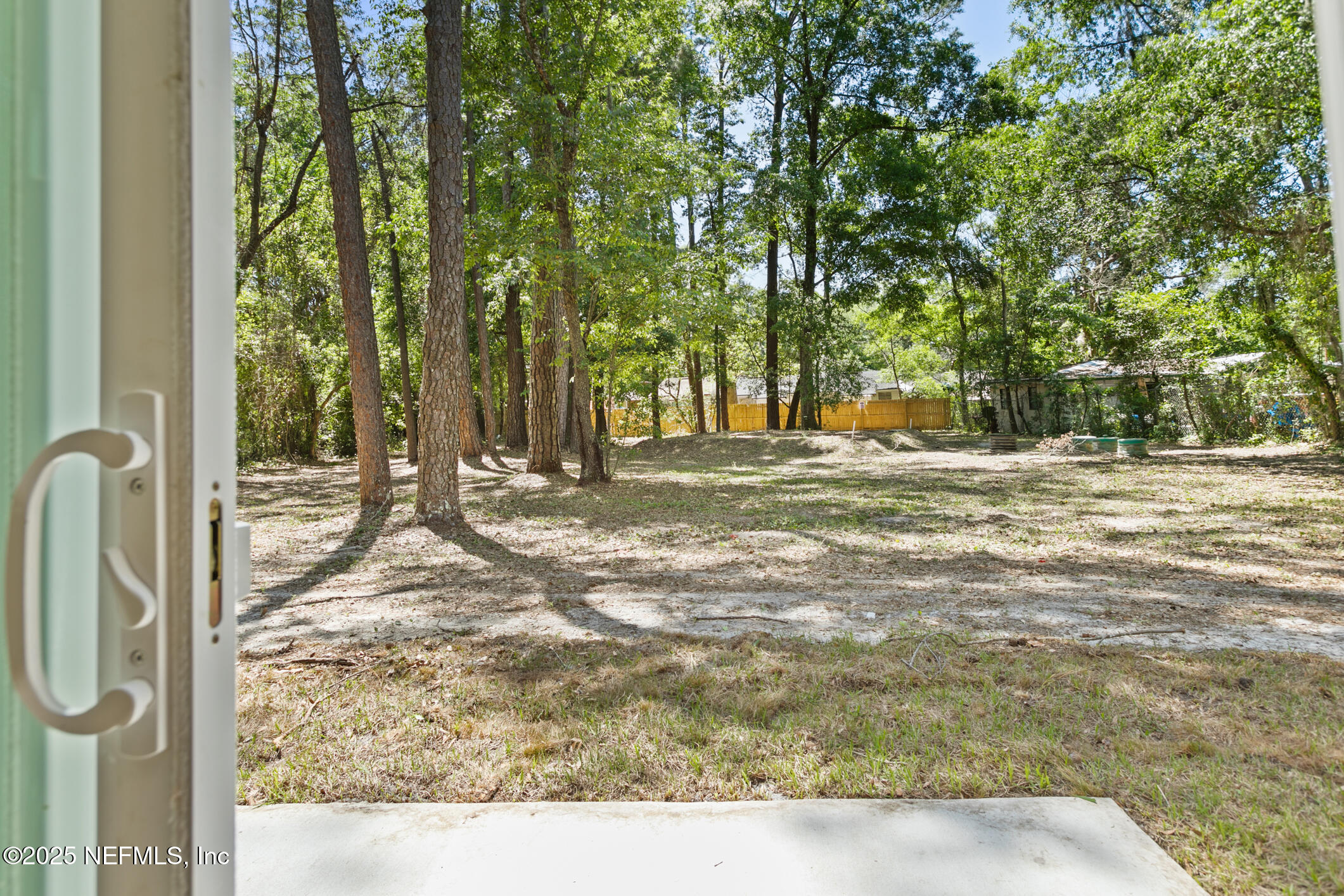 4220 Ribault River Lane Jacksonville, FL 32208 - Photo 43 of 53 Back Yard