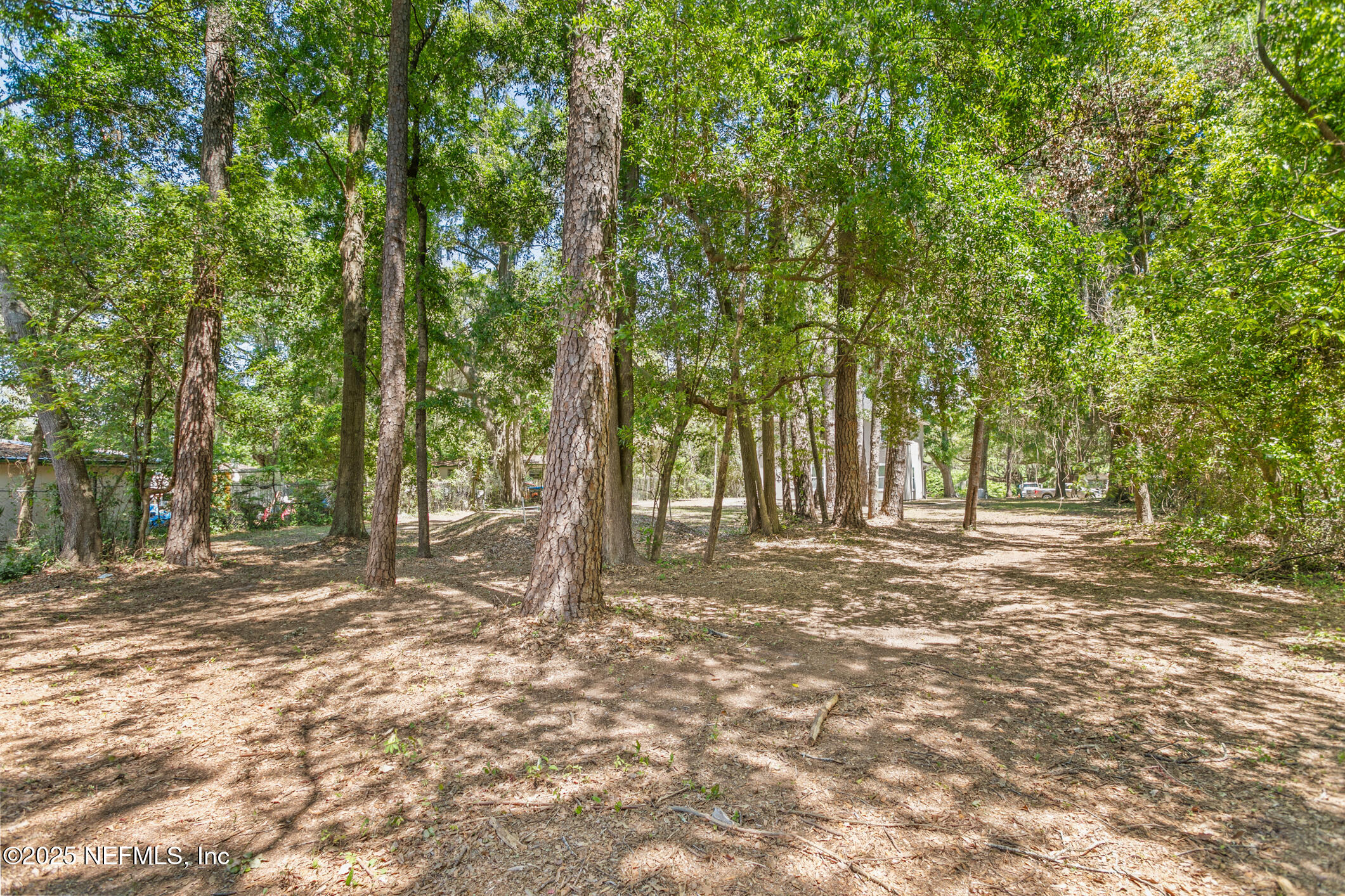 4220 Ribault River Lane Jacksonville, FL 32208 - Photo 47 of 53 Back Yard