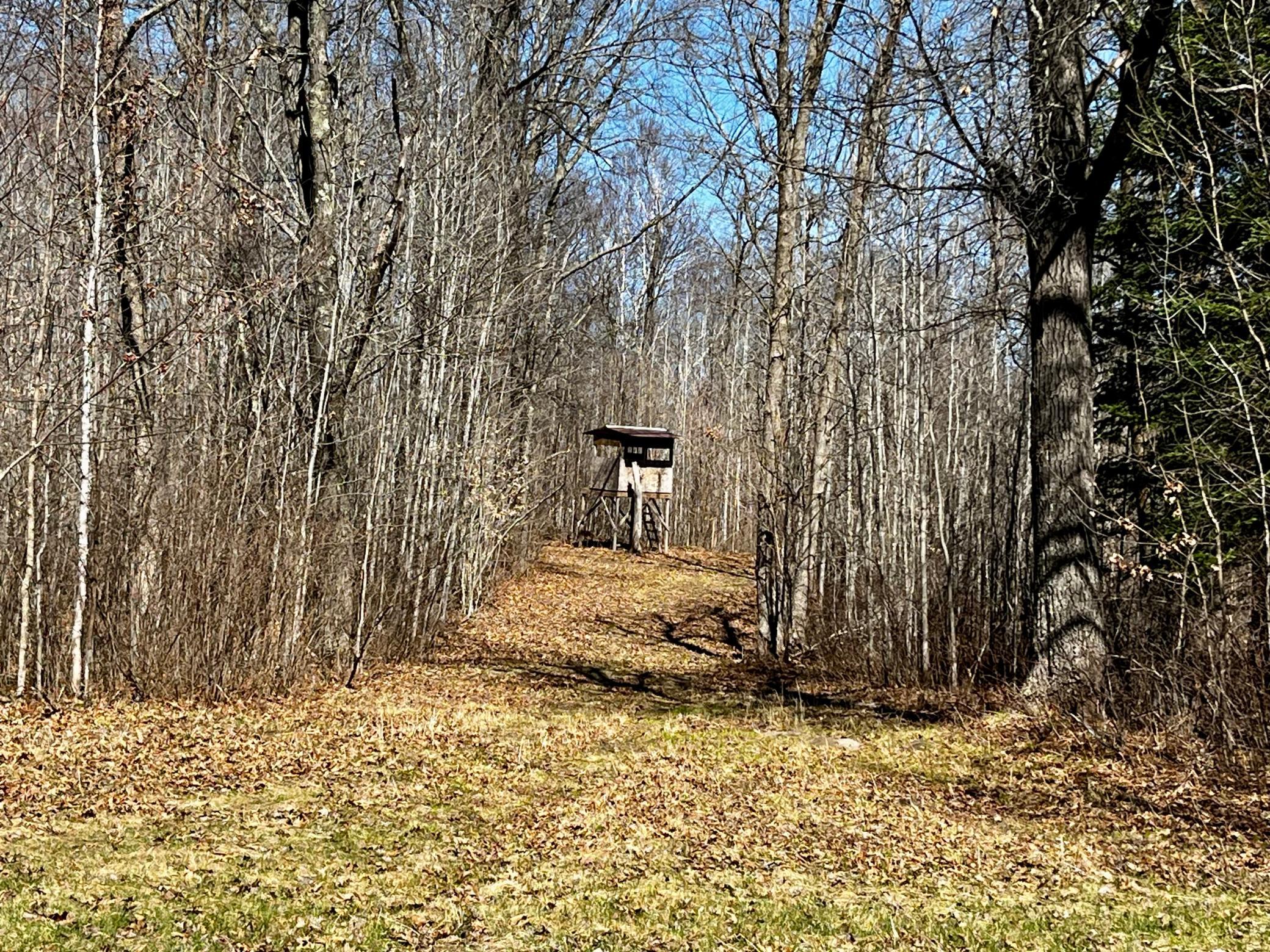 51246 Old Mill Road Osage, MN 56570 - Photo 9 of 12