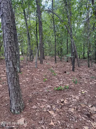 $89,000 | 148 Otter Drive, Seven Lakes, NC 27376