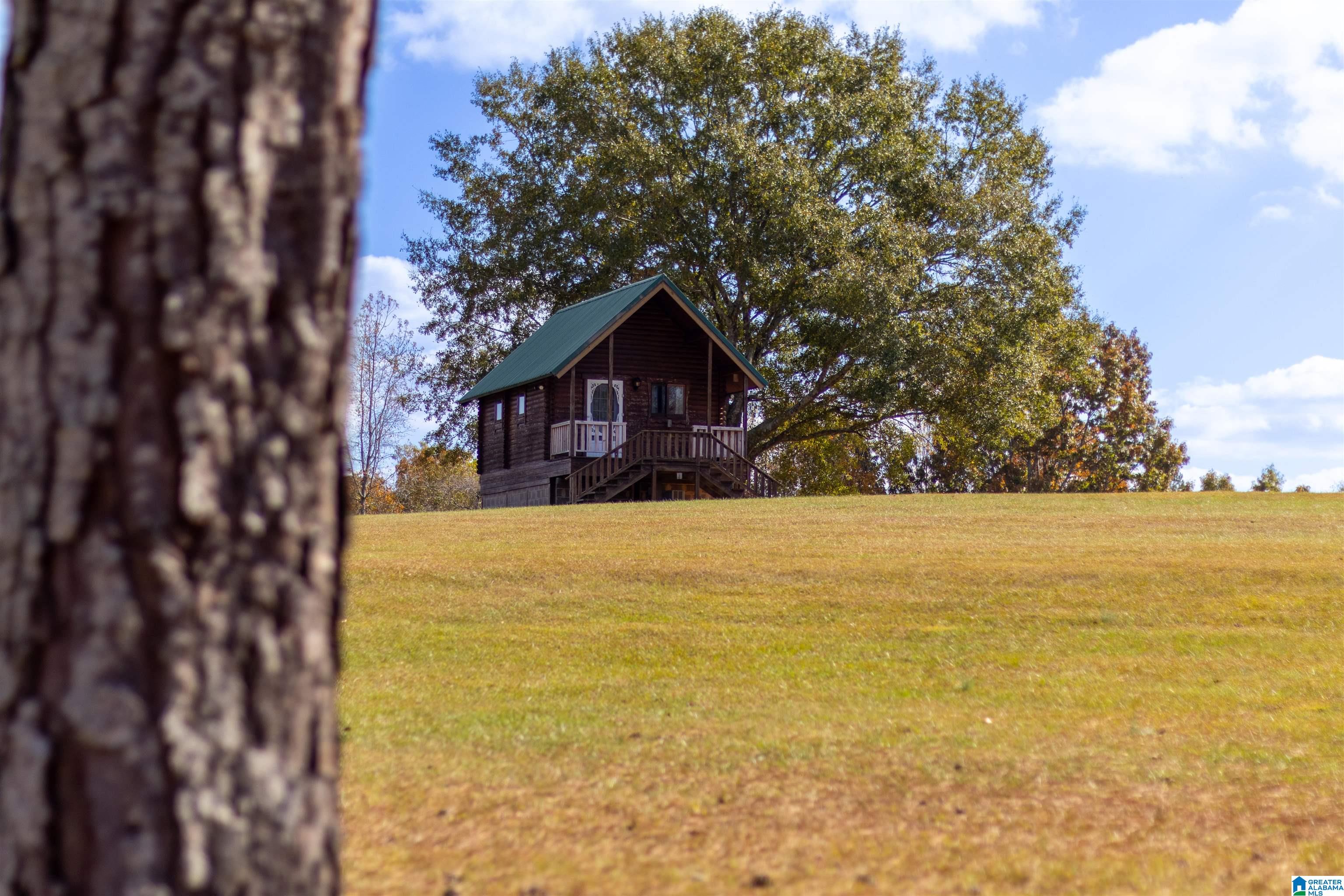 0 White Plains Road Munford, AL 36268 - Photo 17 of 17
