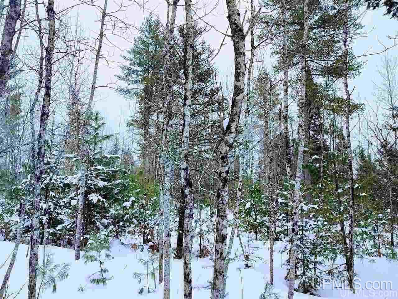Tbd Forest Hwy 16 Road Iron River, MI 49935 - Photo 3 of 49