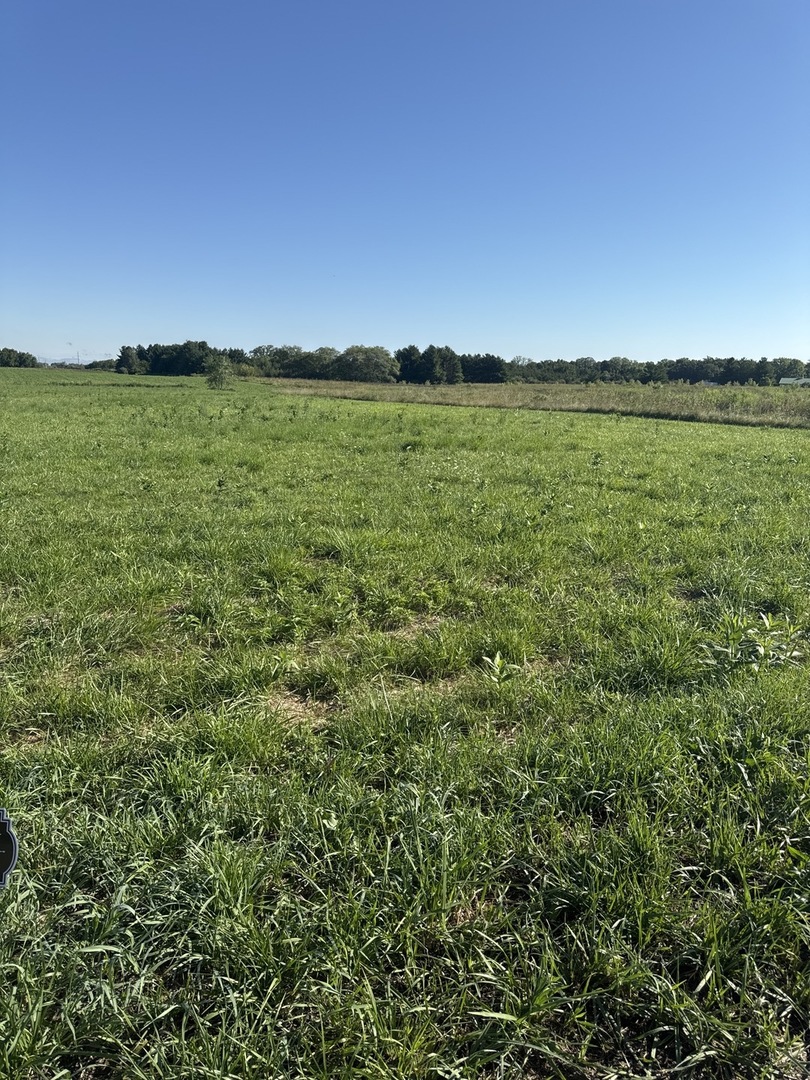 2273 North 3409th Road Ottawa, IL 61350 - Photo 4 of 9