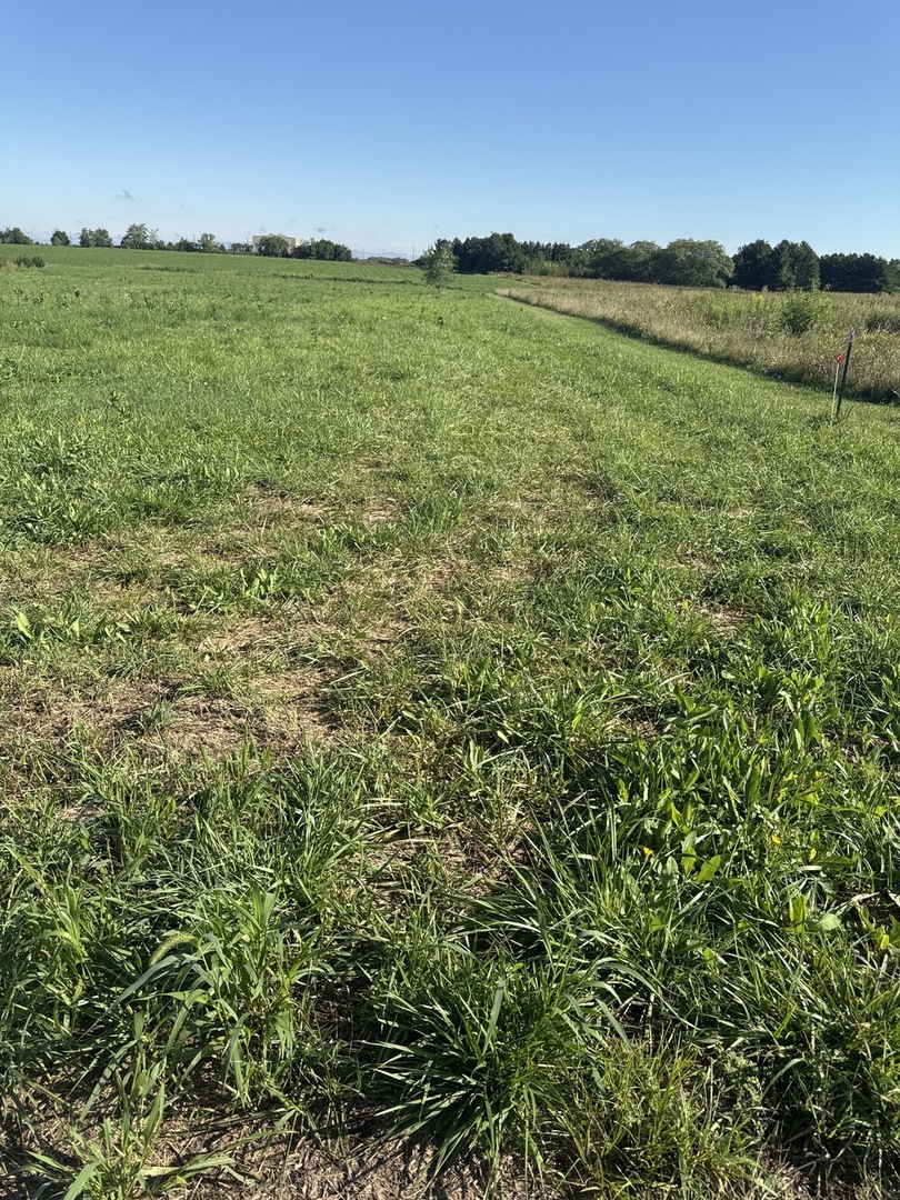 2273 North 3409th Road Ottawa, IL 61350 - Photo 7 of 9