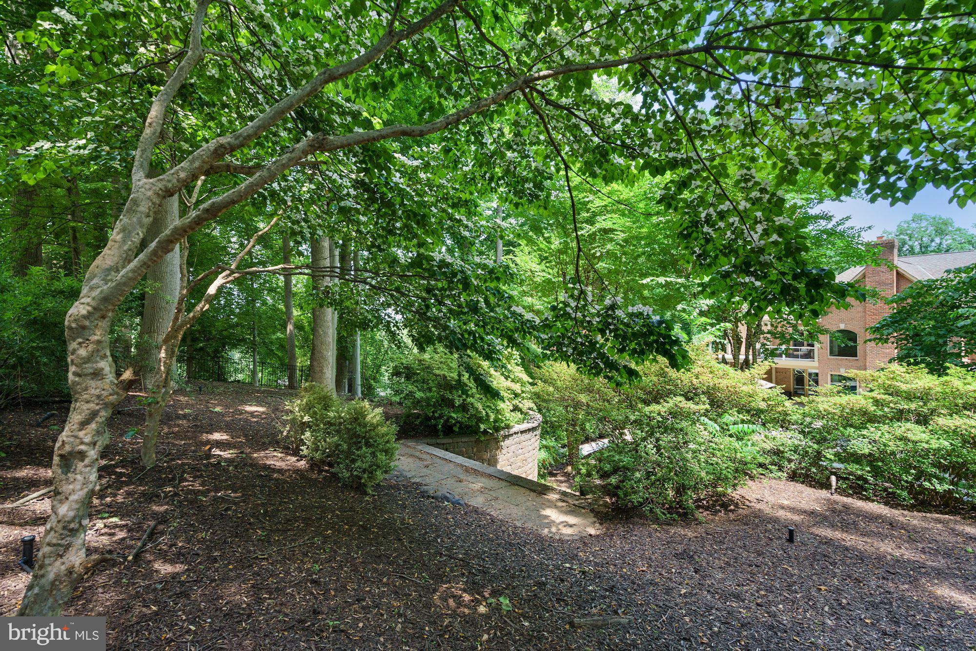 624 Live Oak Drive McLean, VA 22101 - Photo 84 of 87