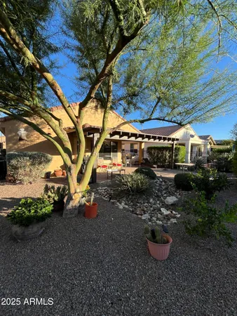 a view of a backyard with plants