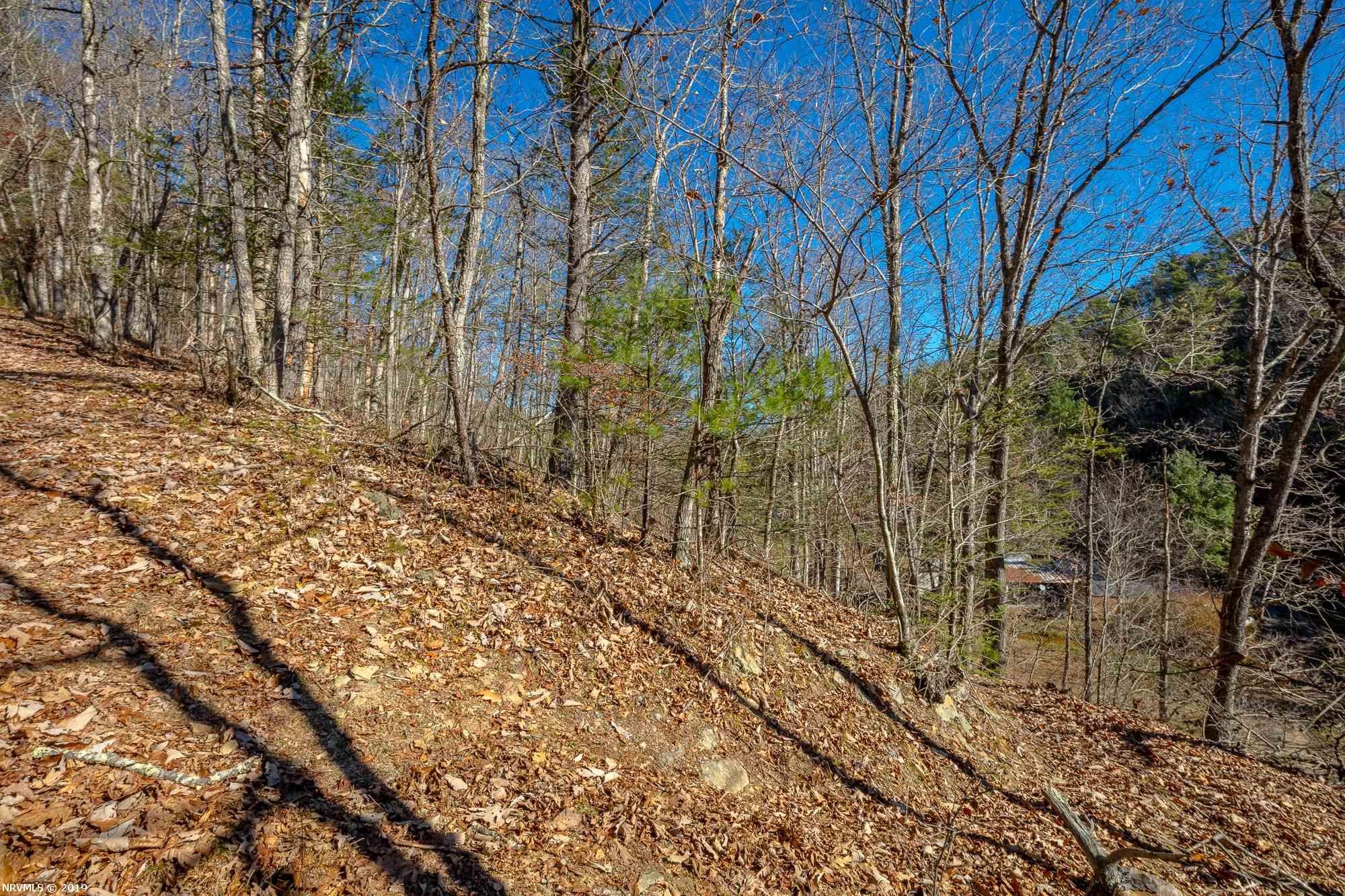 Tbd Mudlick Road Wytheville, VA 24382 - Photo 22 of 44 Gallery Image 22