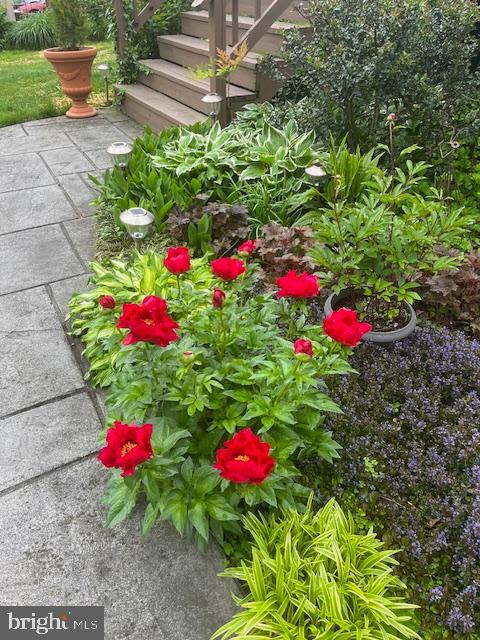 1516 Ridge Road Baltimore, MD 21228 - Photo 12 of 30 Beautifully landscaped