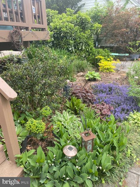 1516 Ridge Road Baltimore, MD 21228 - Photo 13 of 30 Beautifully landscaped