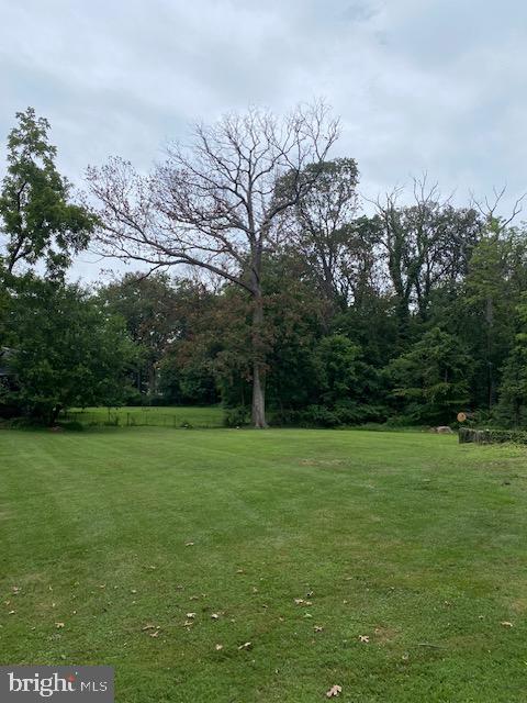 1516 Ridge Road Baltimore, MD 21228 - Photo 15 of 30 Mature foliage