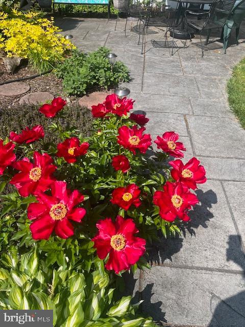 1516 Ridge Road Baltimore, MD 21228 - Photo 19 of 30 Beautifully landscaped