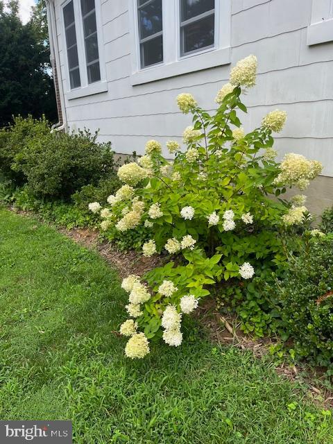 1516 Ridge Road Baltimore, MD 21228 - Photo 22 of 30 Beautifully landscaped