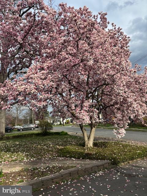 1516 Ridge Road Baltimore, MD 21228 - Photo 24 of 30 Beautifully landscaped