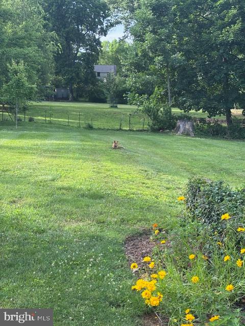 1516 Ridge Road Baltimore, MD 21228 - Photo 26 of 30 Spacious, level 1/2 acre lot