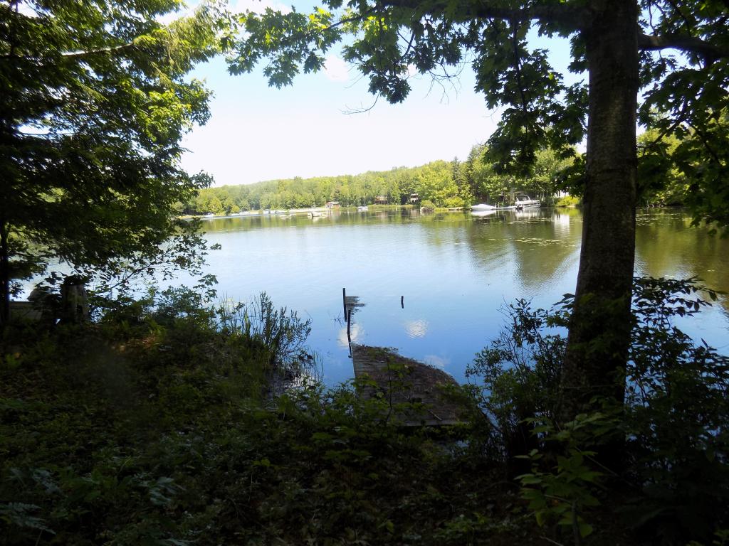 62 Cove Road Washington, NH 03280 - Photo 2 of 7