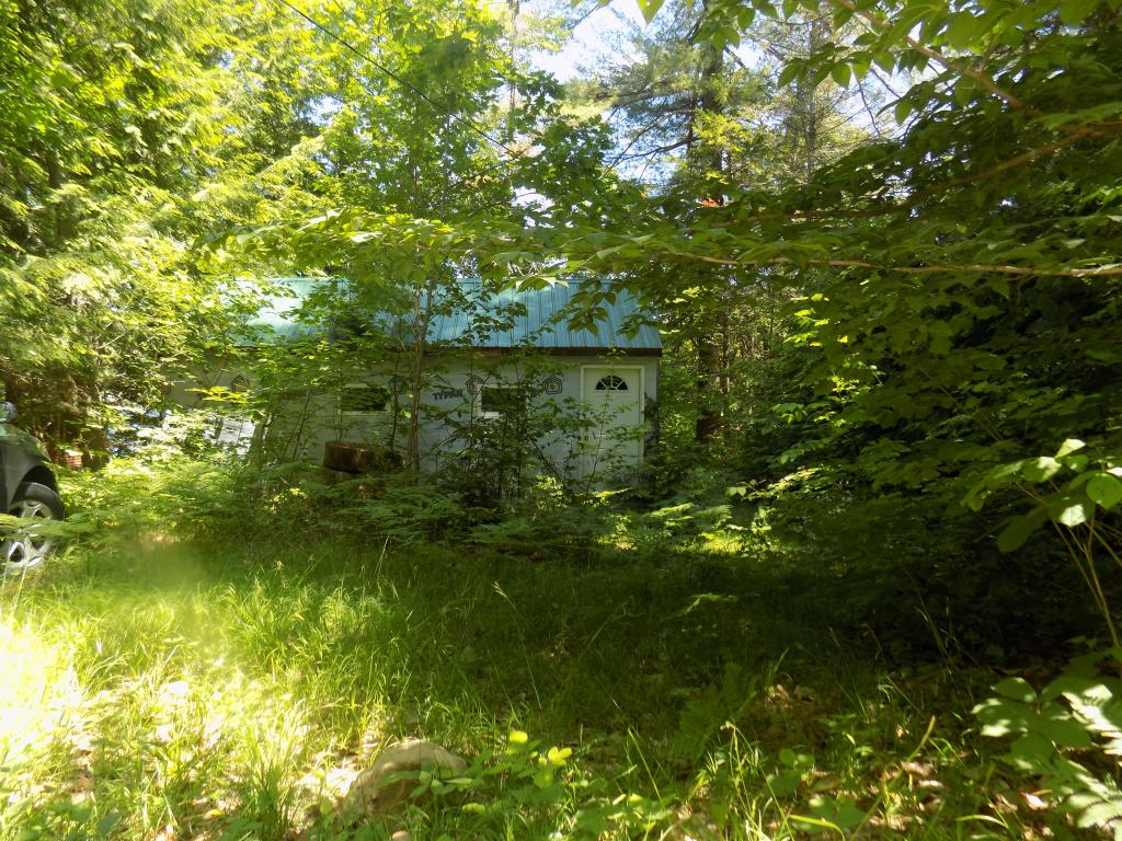 62 Cove Road Washington, NH 03280 - Photo 3 of 7