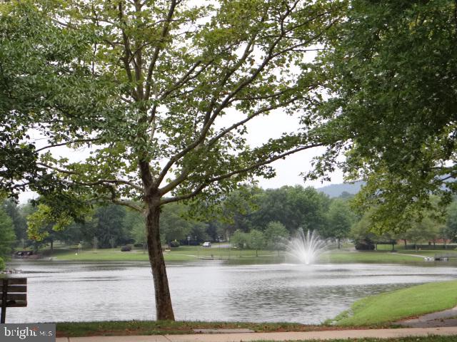 2246 Wetherburne Way Frederick, MD 21702 - Photo 22 of 23 Tranquil park scene with fountain.