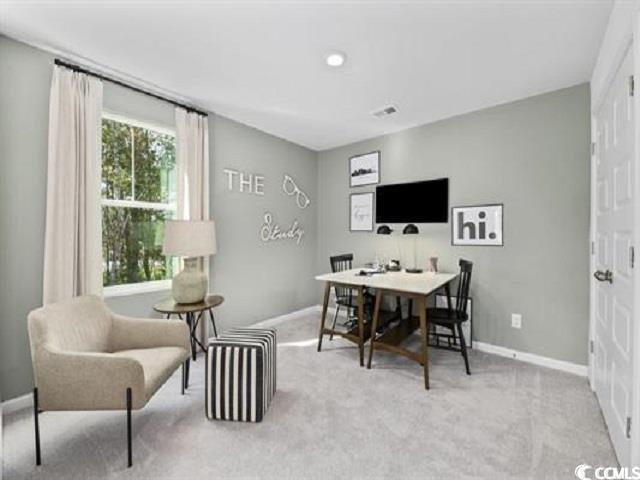 843 Western Rail Way Loris, SC 29569 - Photo 7 of 12