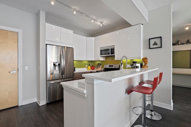 1629 South Prairie Avenue, Unit 2403 Chicago, IL 60616 - Photo 4 of 34