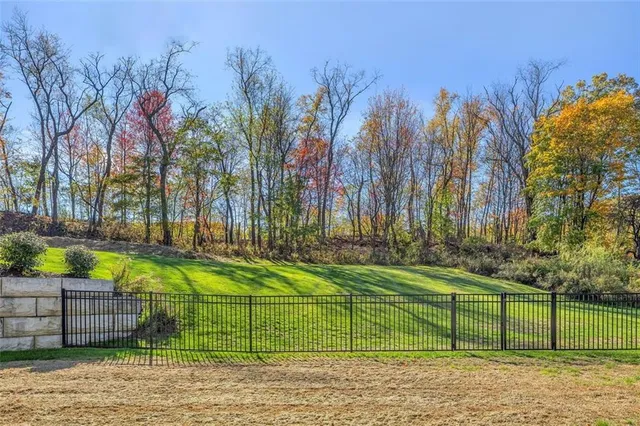 a view of a park with large trees