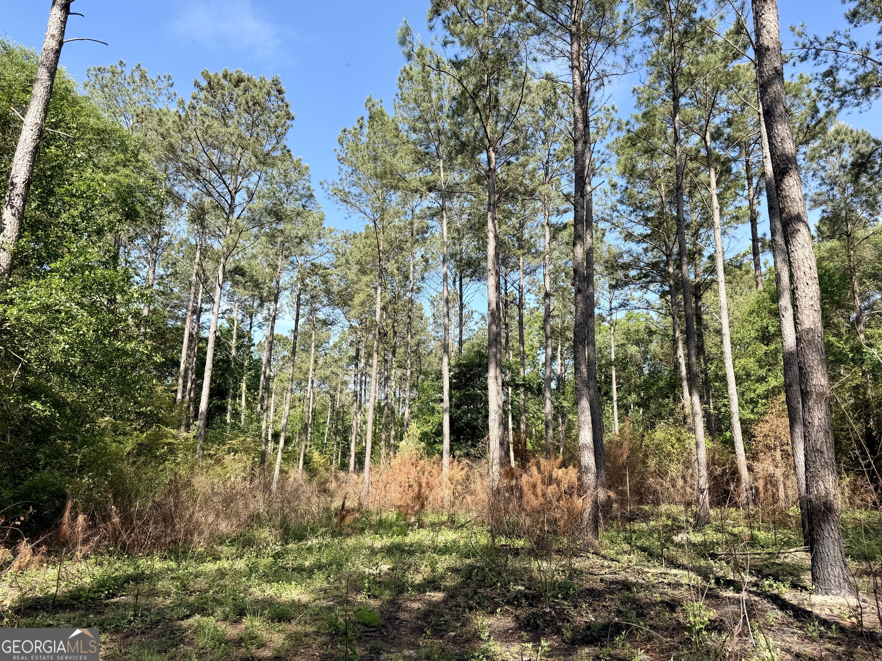 0 Folds Road Pineview, GA 31071 - Photo 11 of 63