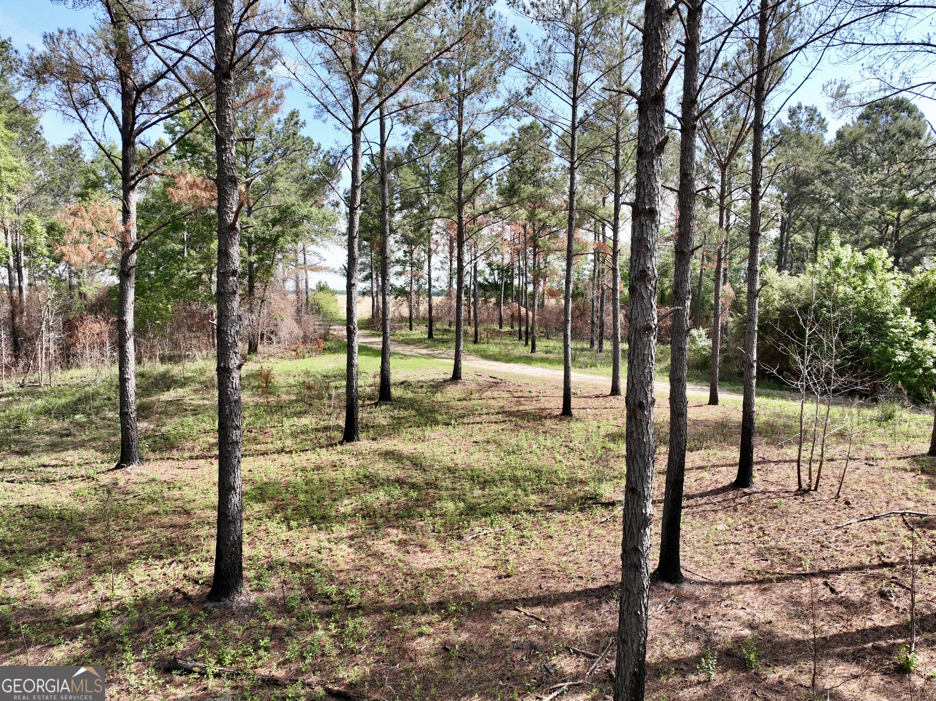 0 Folds Road Pineview, GA 31071 - Photo 16 of 63