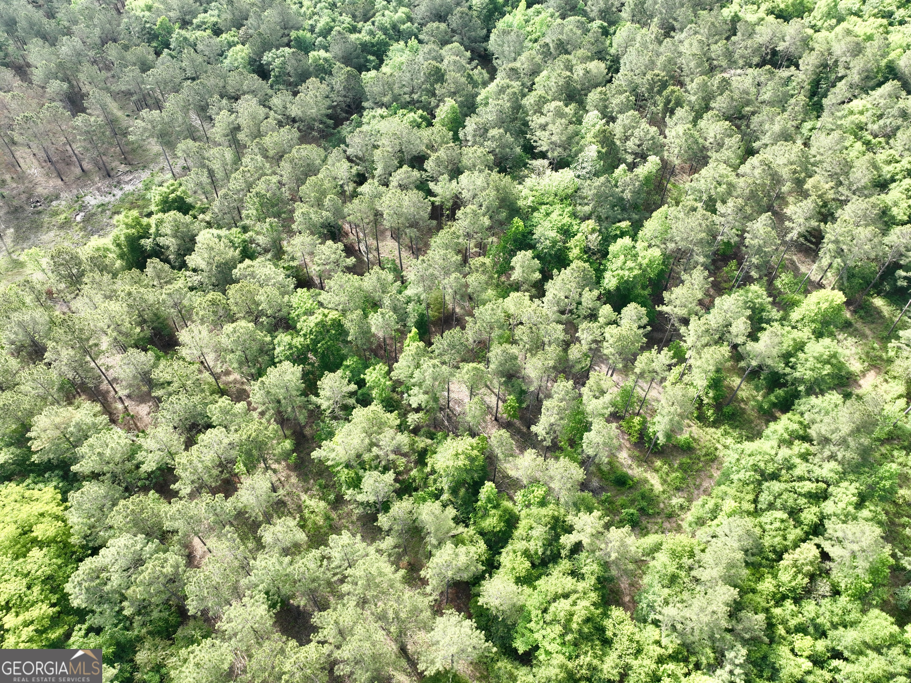 0 Folds Road Pineview, GA 31071 - Photo 17 of 63