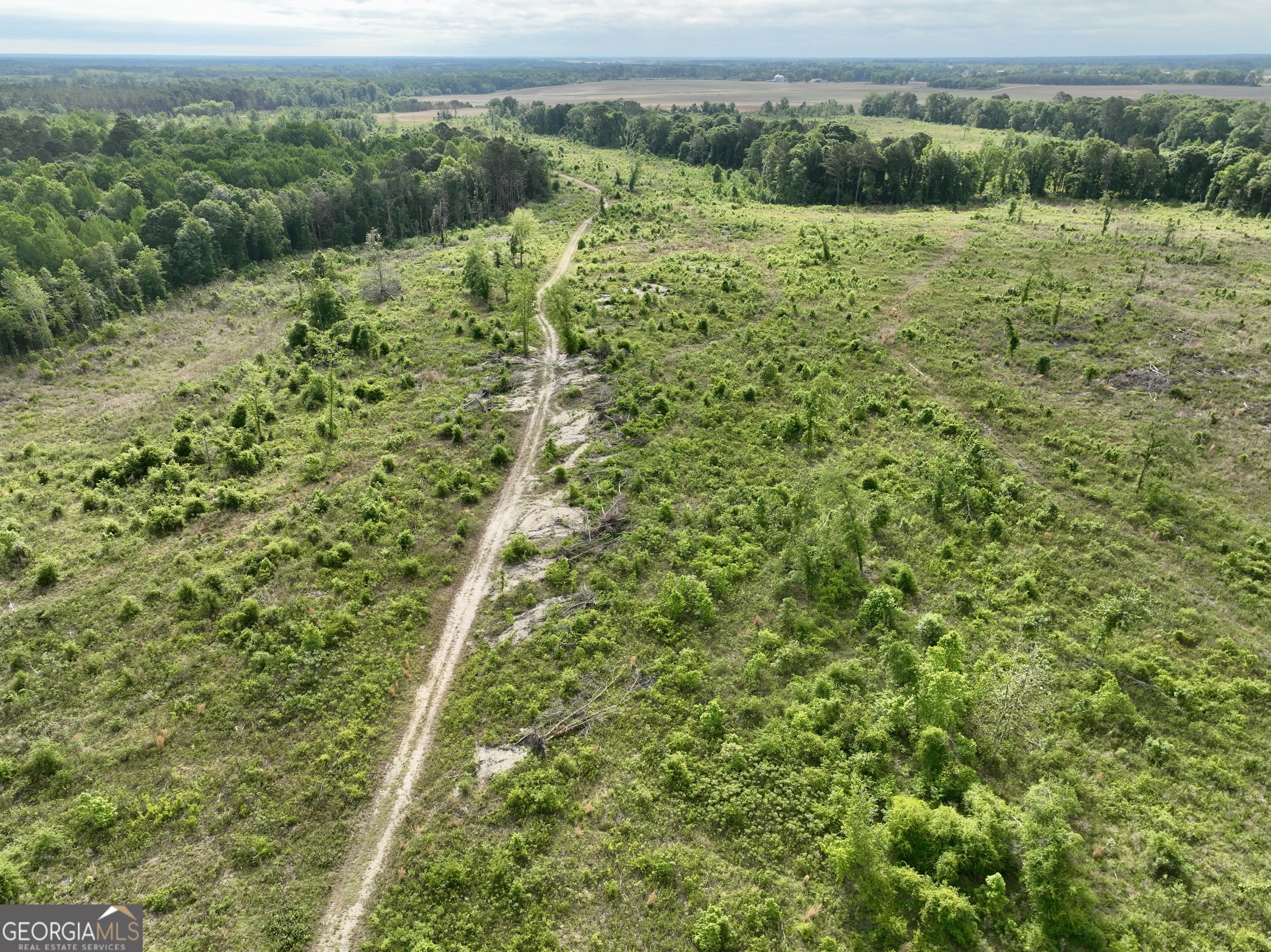 0 Folds Road Pineview, GA 31071 - Photo 18 of 63