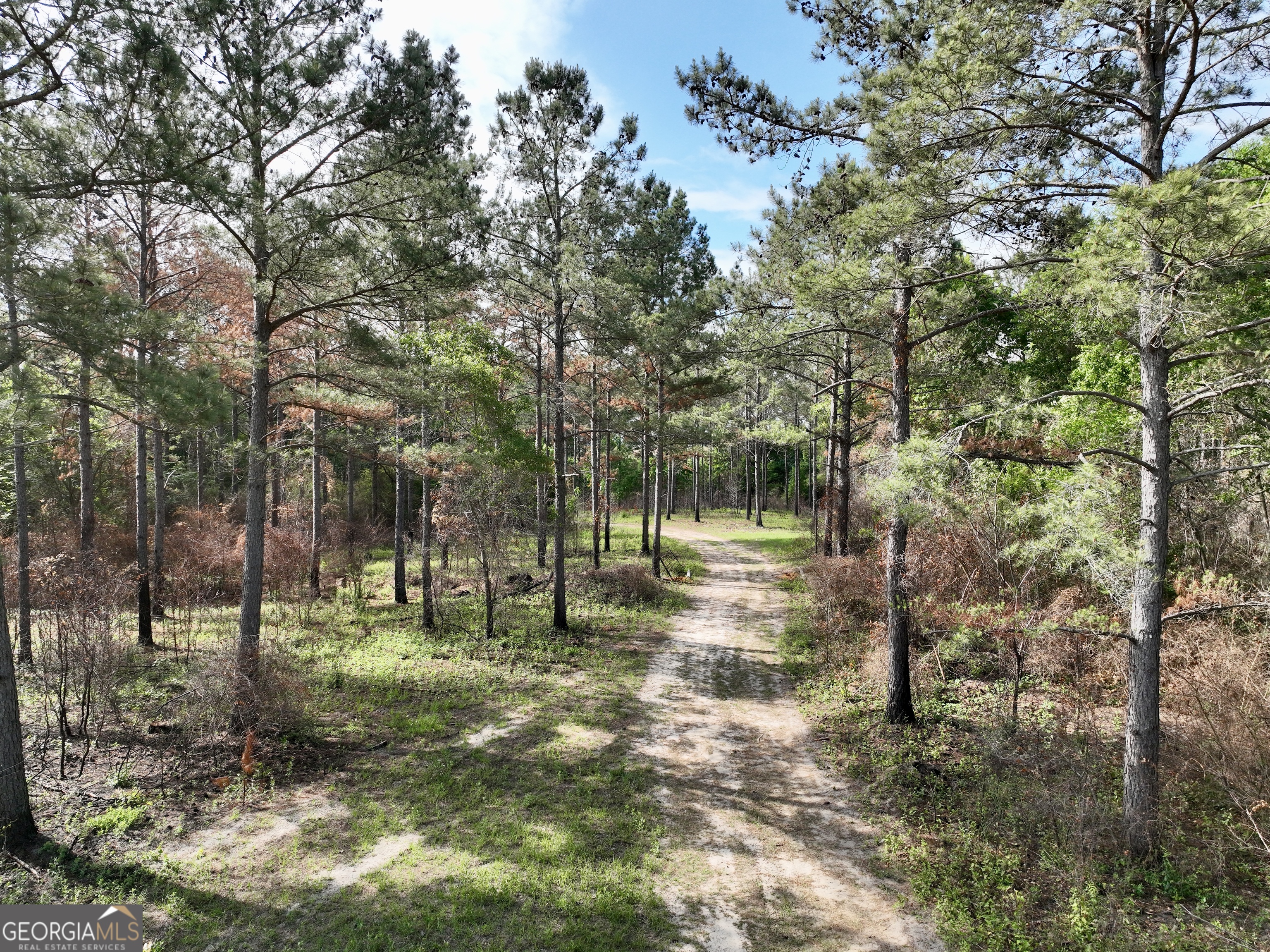 0 Folds Road Pineview, GA 31071 - Photo 20 of 63