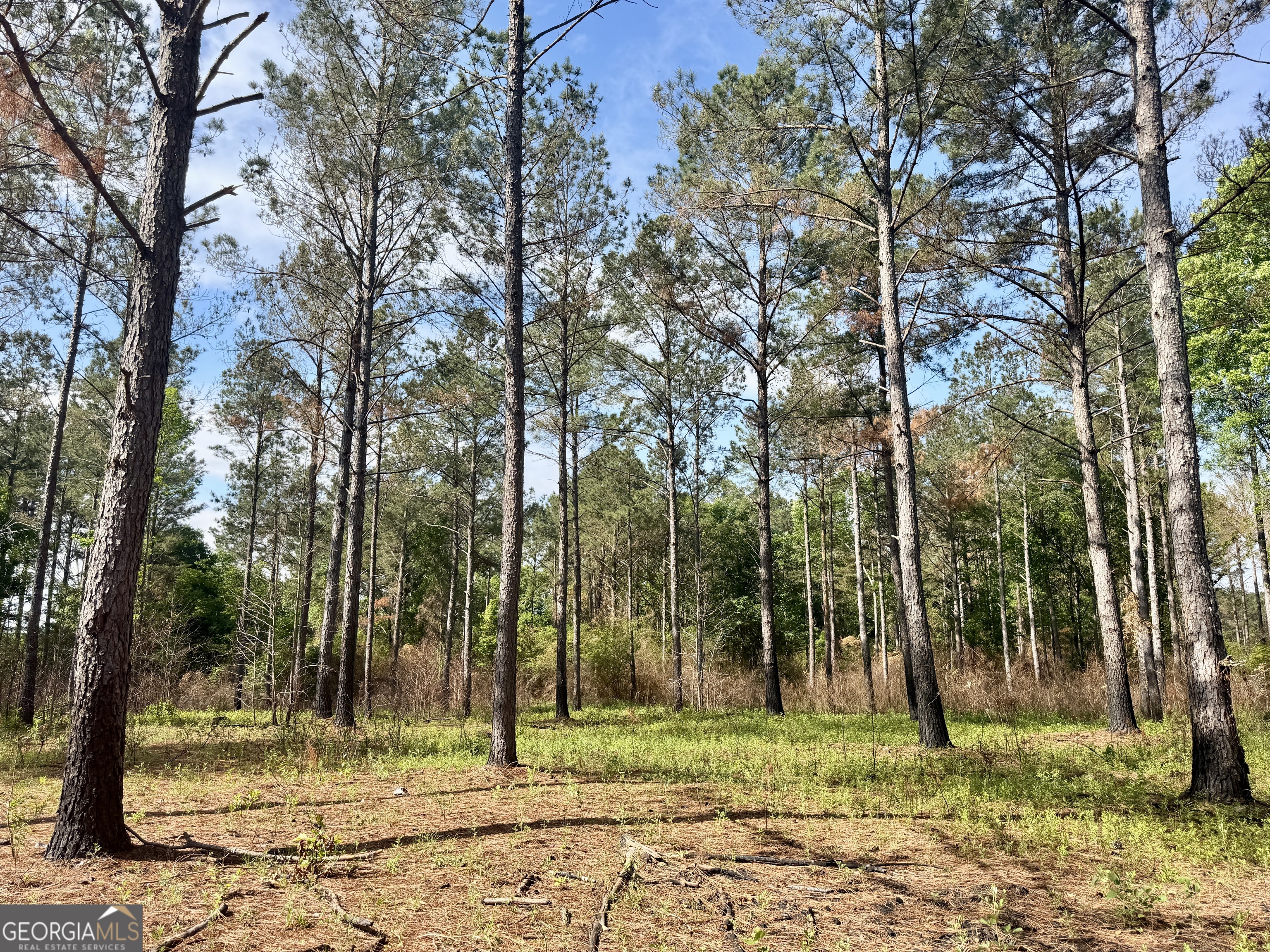 0 Folds Road Pineview, GA 31071 - Photo 2 of 63