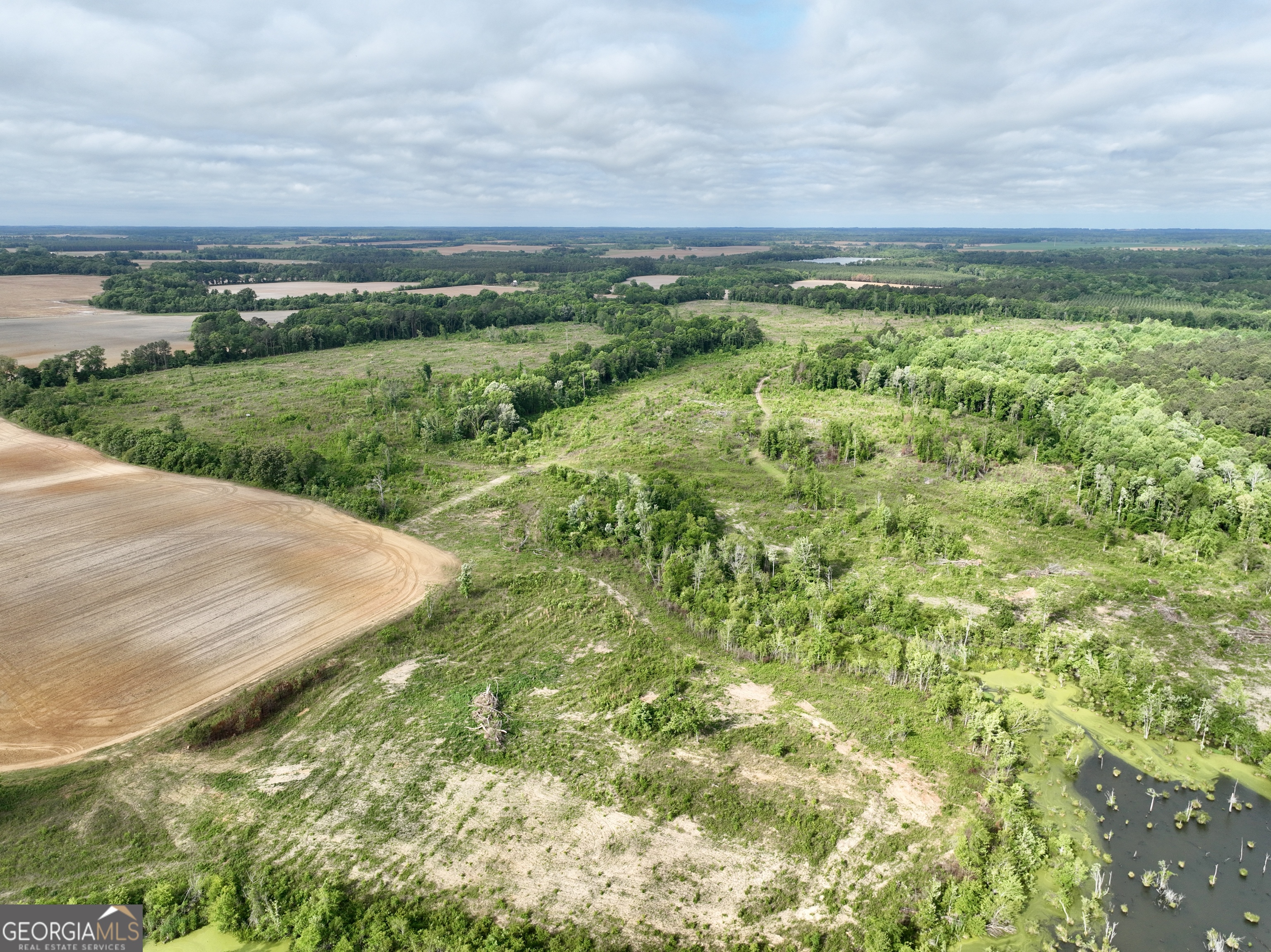 0 Folds Road Pineview, GA 31071 - Photo 21 of 63