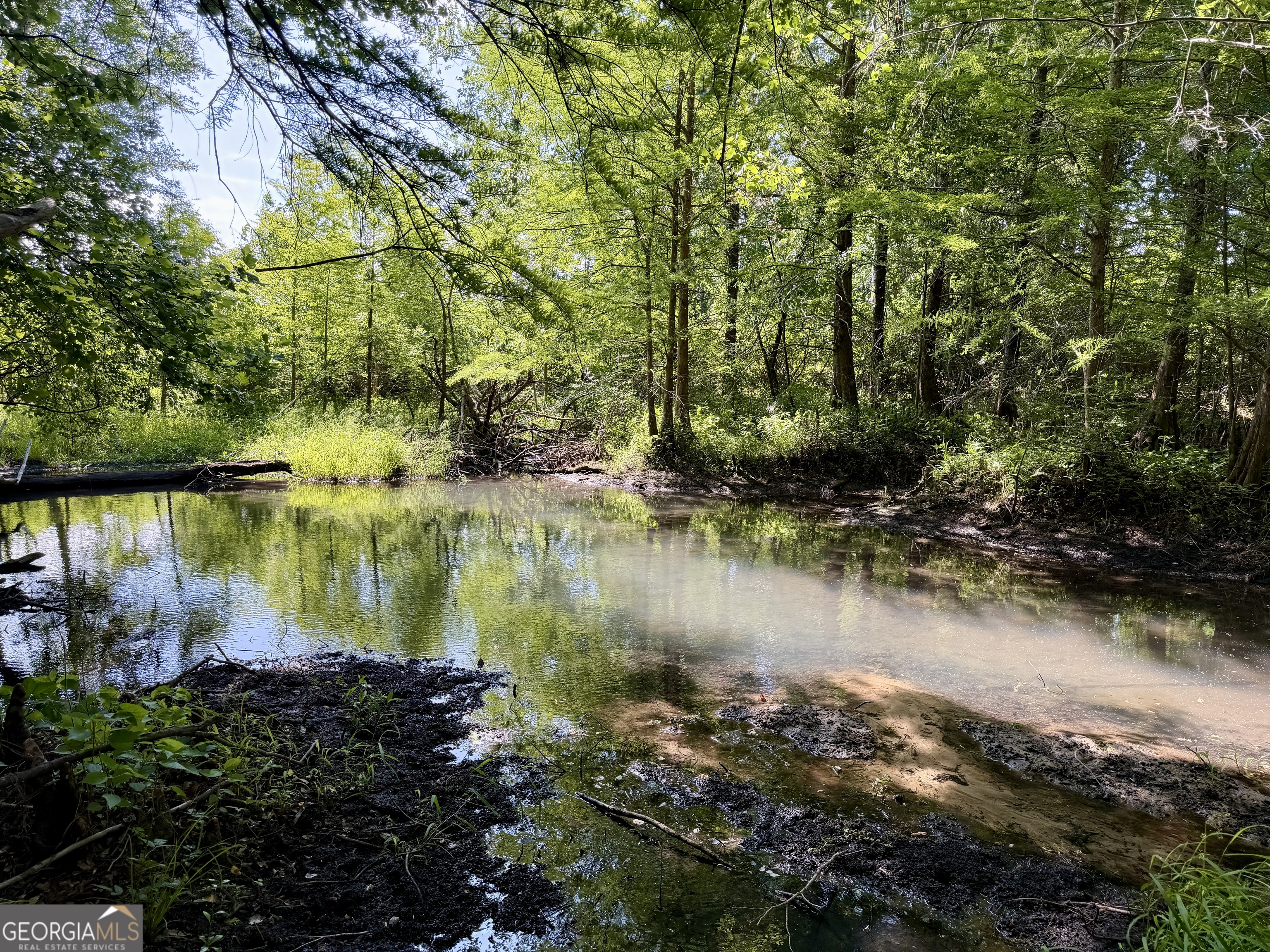 0 Folds Road Pineview, GA 31071 - Photo 22 of 63