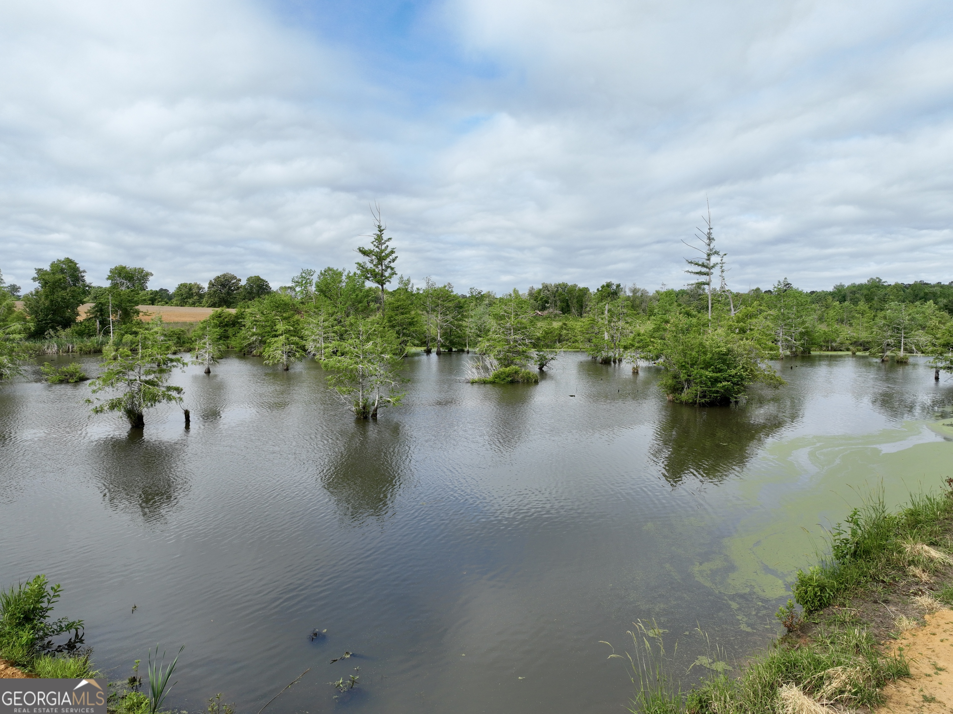 0 Folds Road Pineview, GA 31071 - Photo 23 of 63