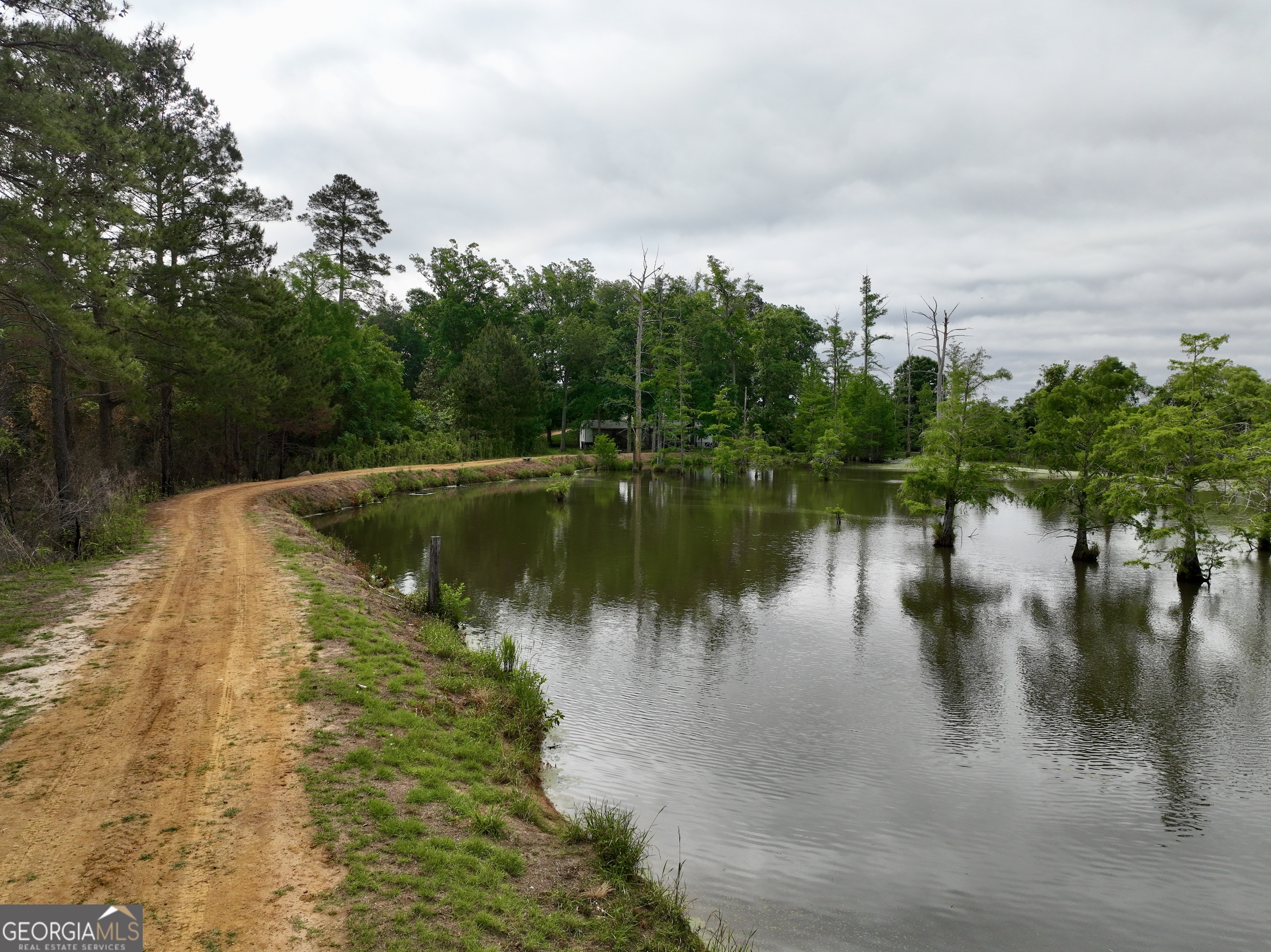 0 Folds Road Pineview, GA 31071 - Photo 24 of 63