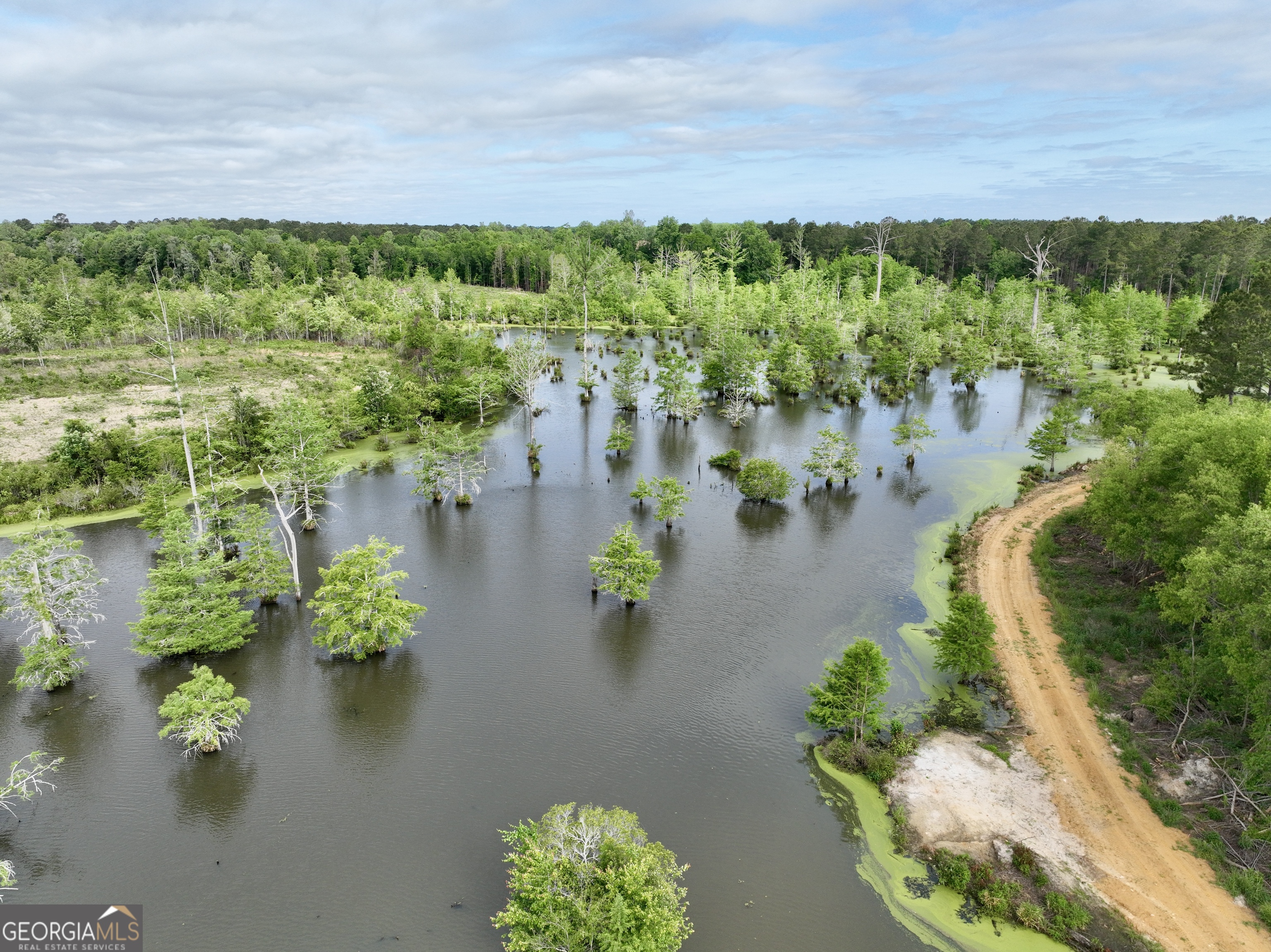 0 Folds Road Pineview, GA 31071 - Photo 25 of 63