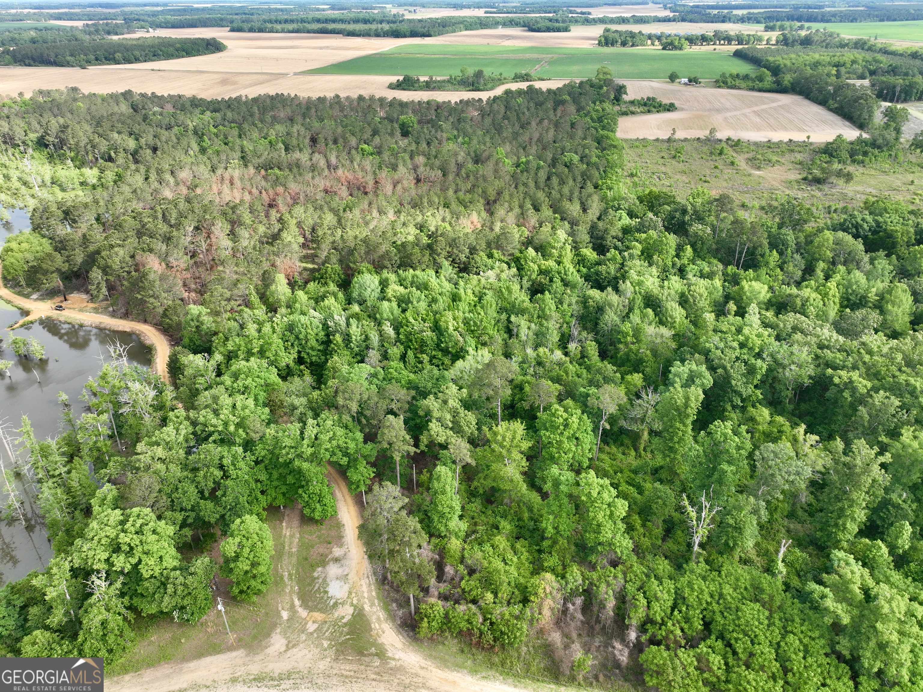 0 Folds Road Pineview, GA 31071 - Photo 27 of 63