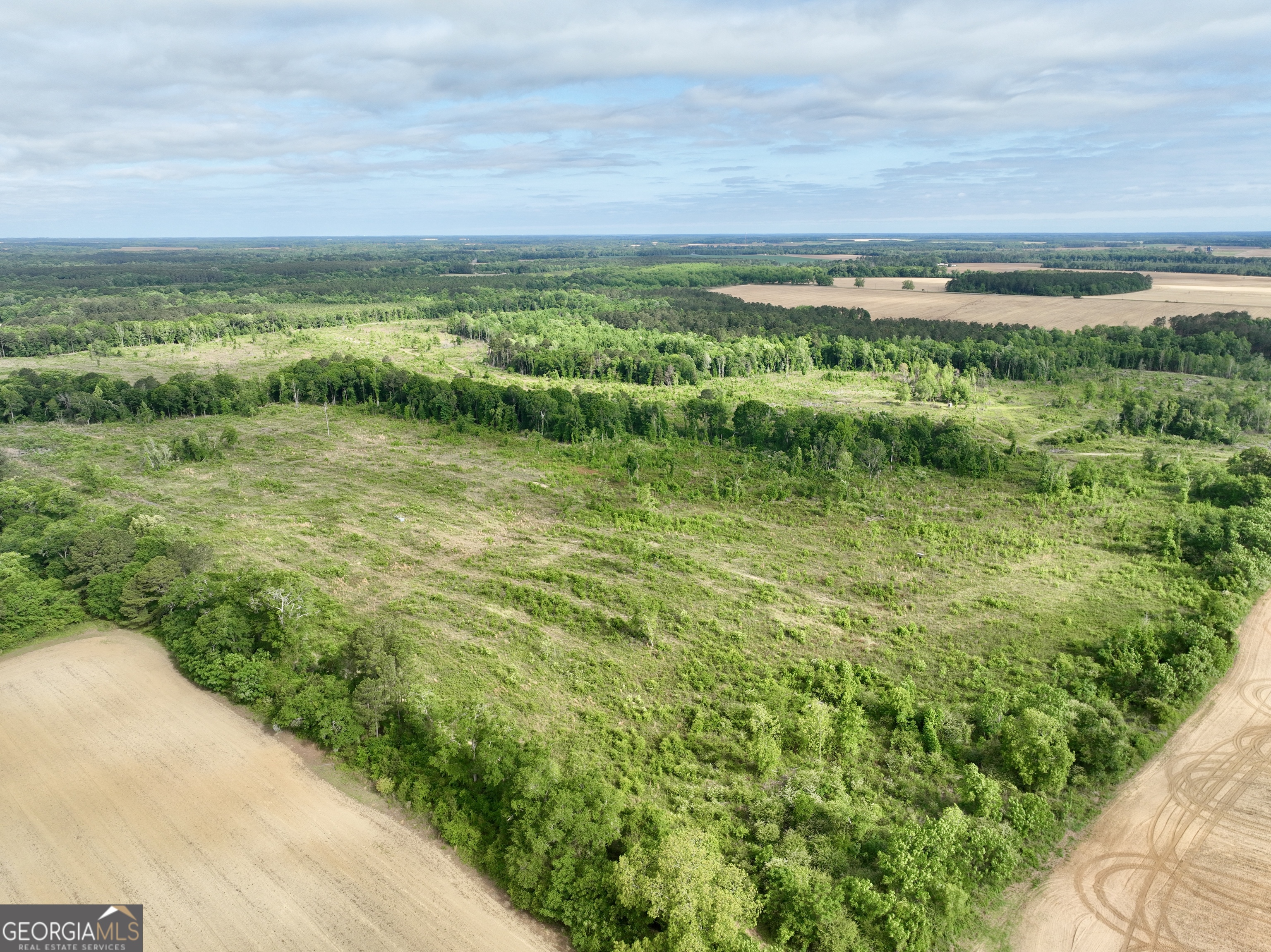 0 Folds Road Pineview, GA 31071 - Photo 28 of 63