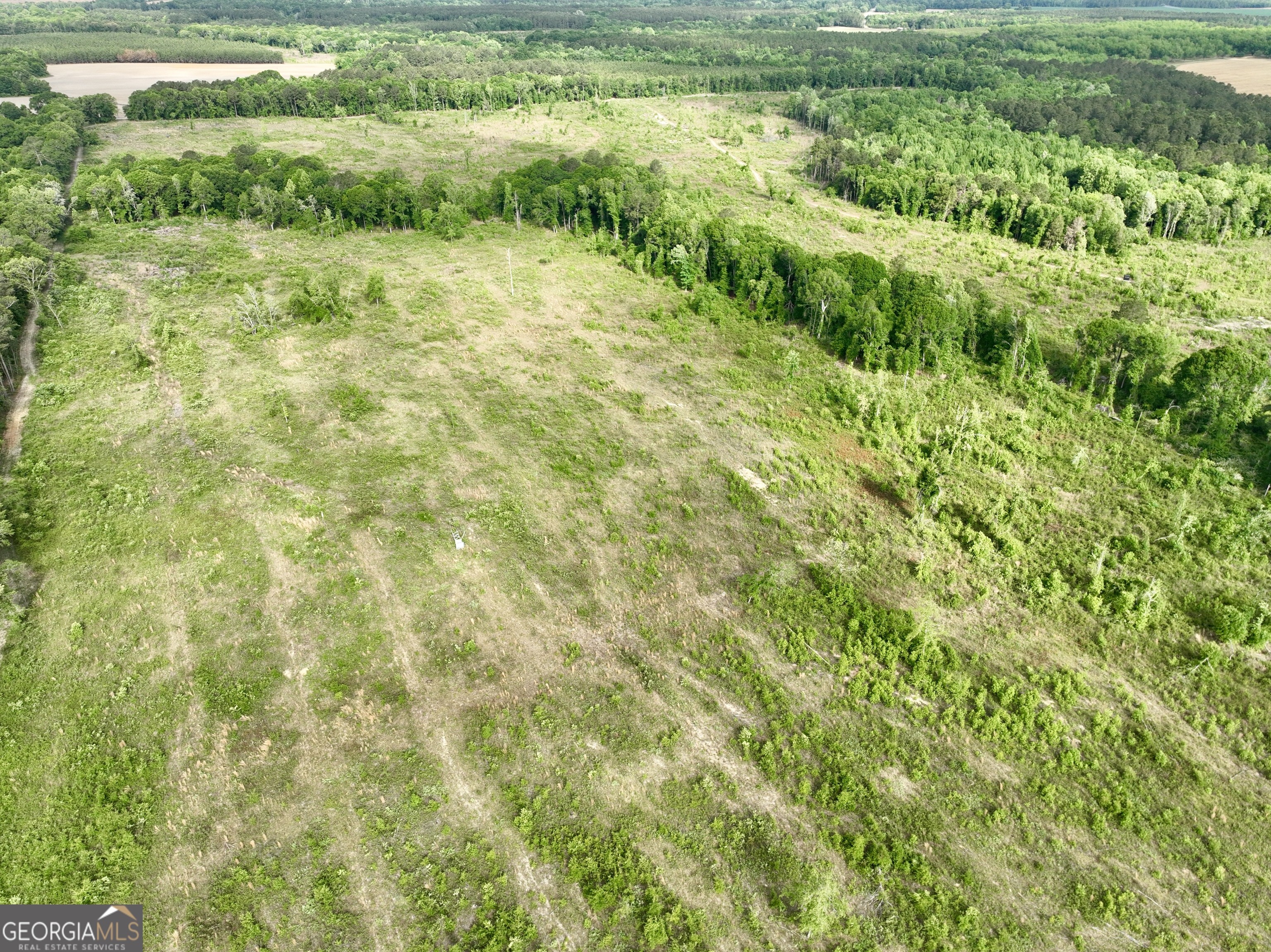 0 Folds Road Pineview, GA 31071 - Photo 29 of 63