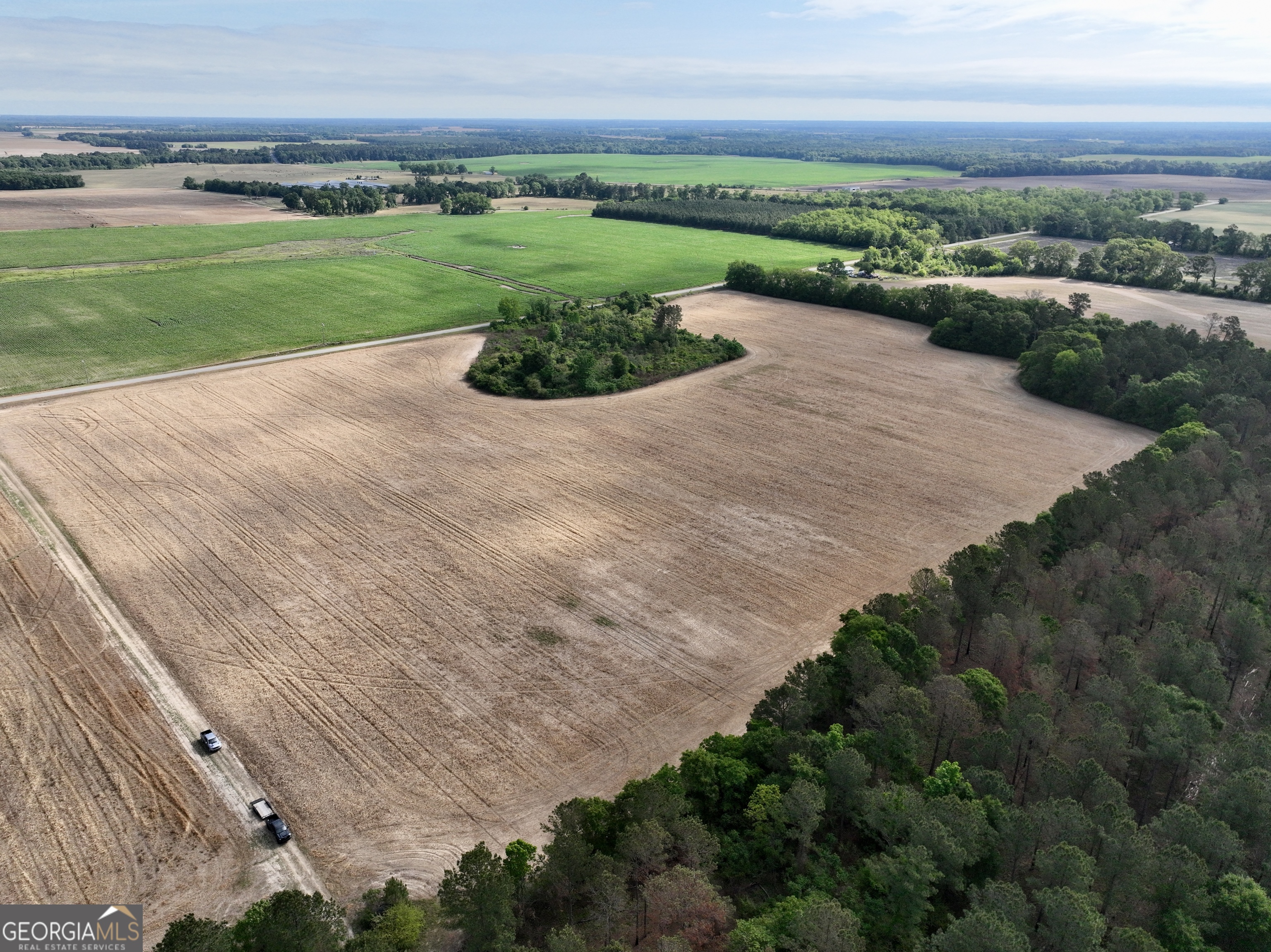 0 Folds Road Pineview, GA 31071 - Photo 3 of 63