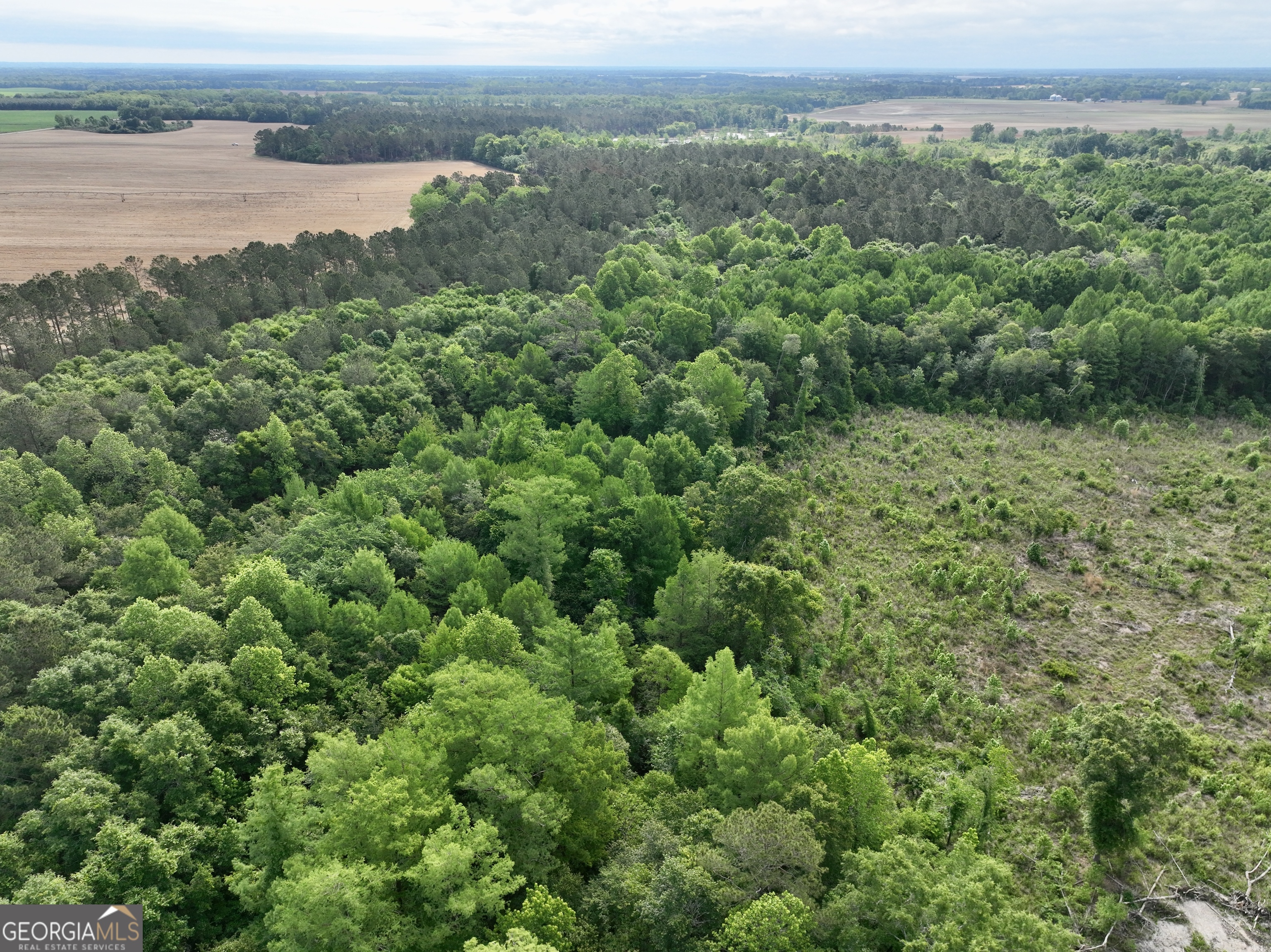 0 Folds Road Pineview, GA 31071 - Photo 35 of 63
