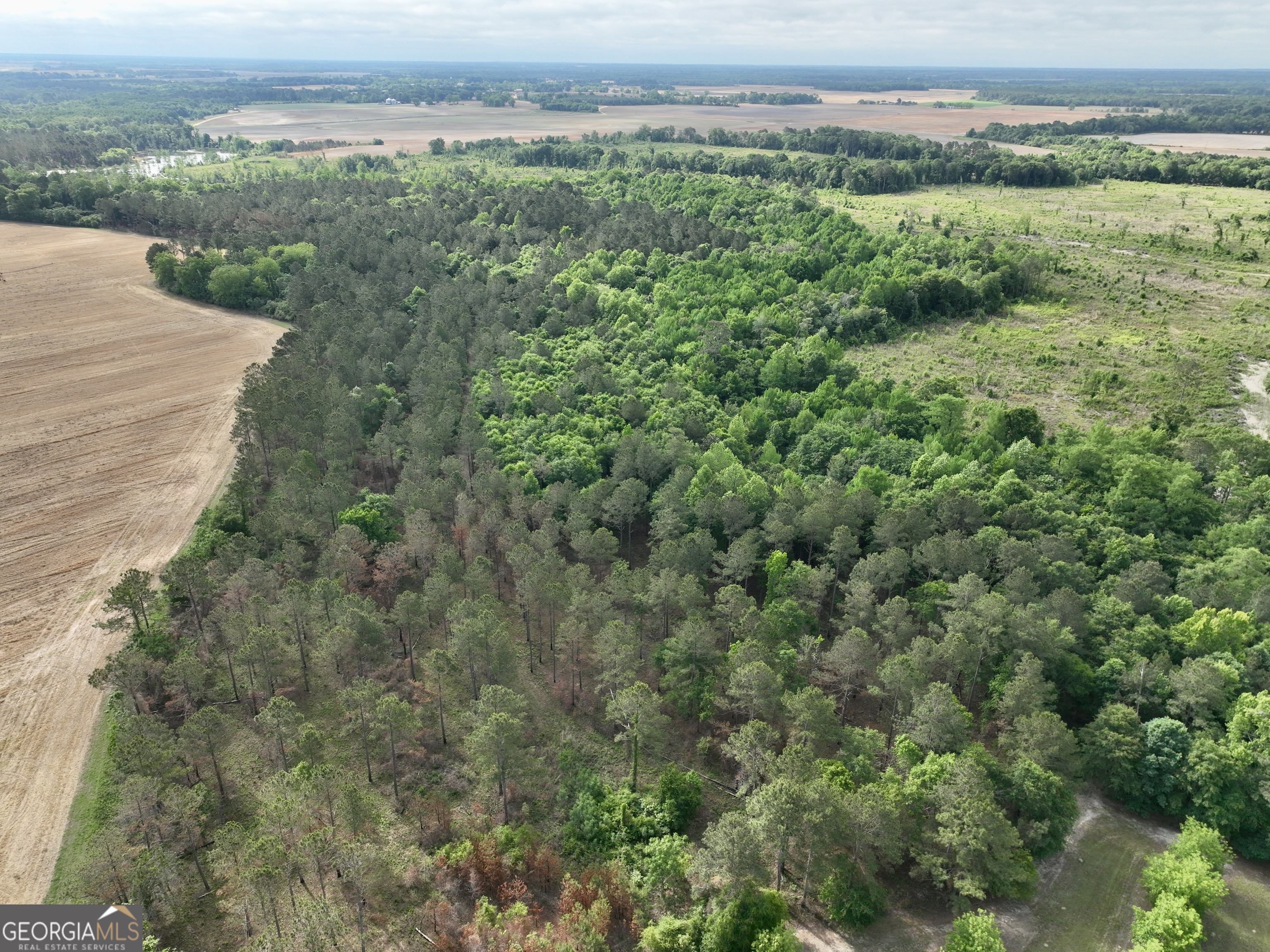 0 Folds Road Pineview, GA 31071 - Photo 36 of 63