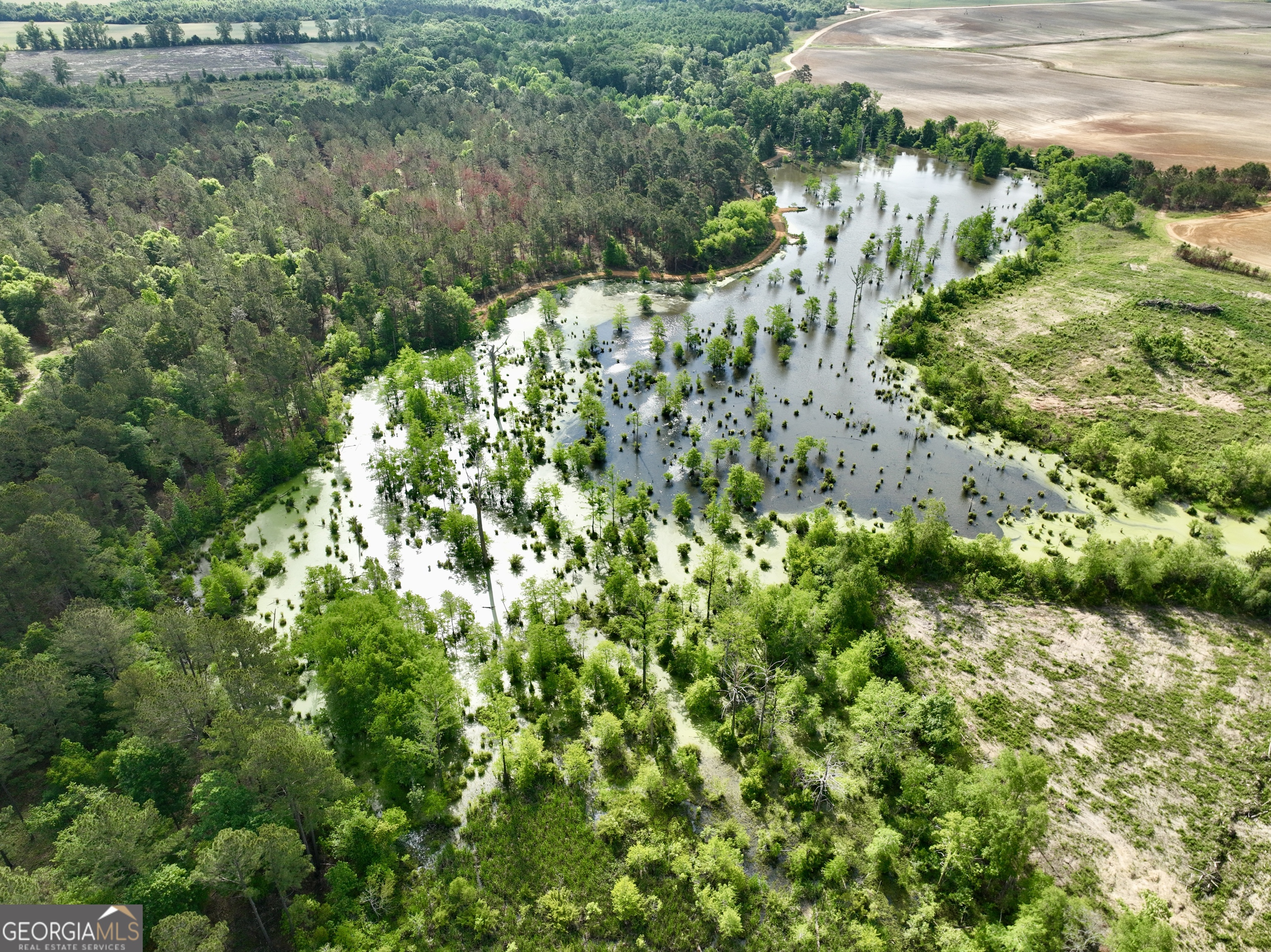 0 Folds Road Pineview, GA 31071 - Photo 39 of 63