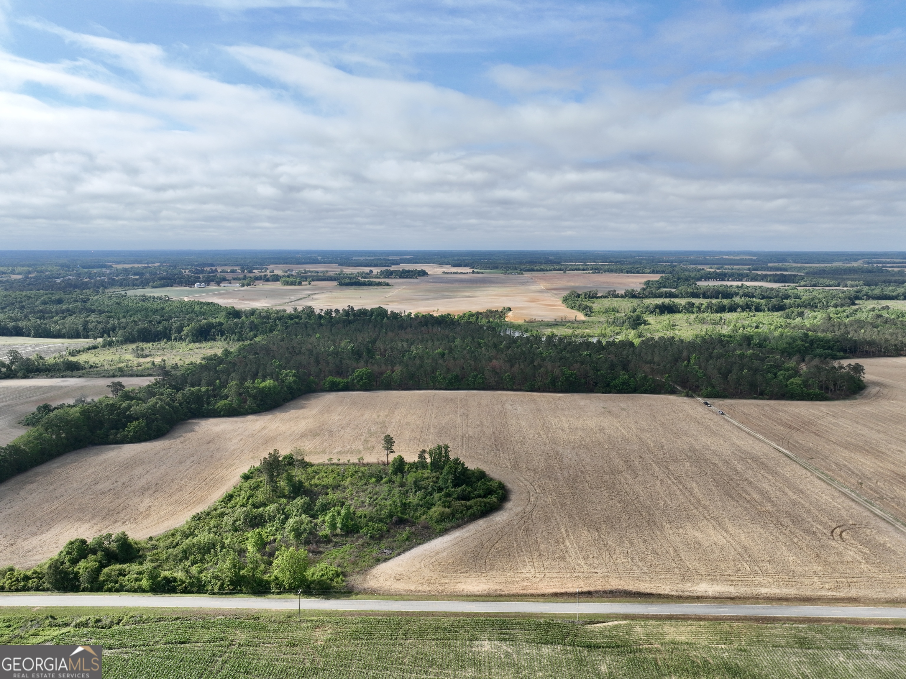 0 Folds Road Pineview, GA 31071 - Photo 40 of 63