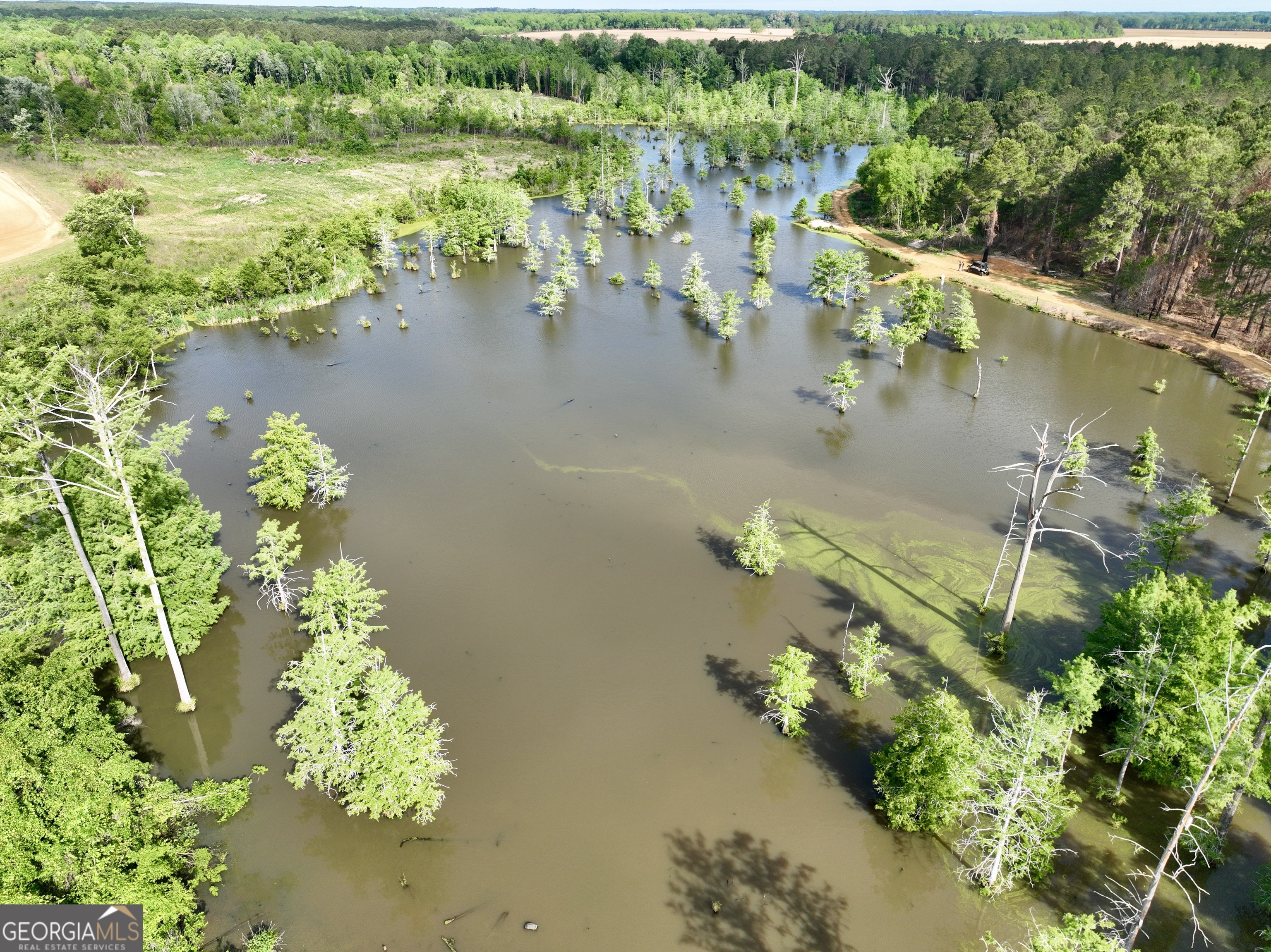 0 Folds Road Pineview, GA 31071 - Photo 4 of 63