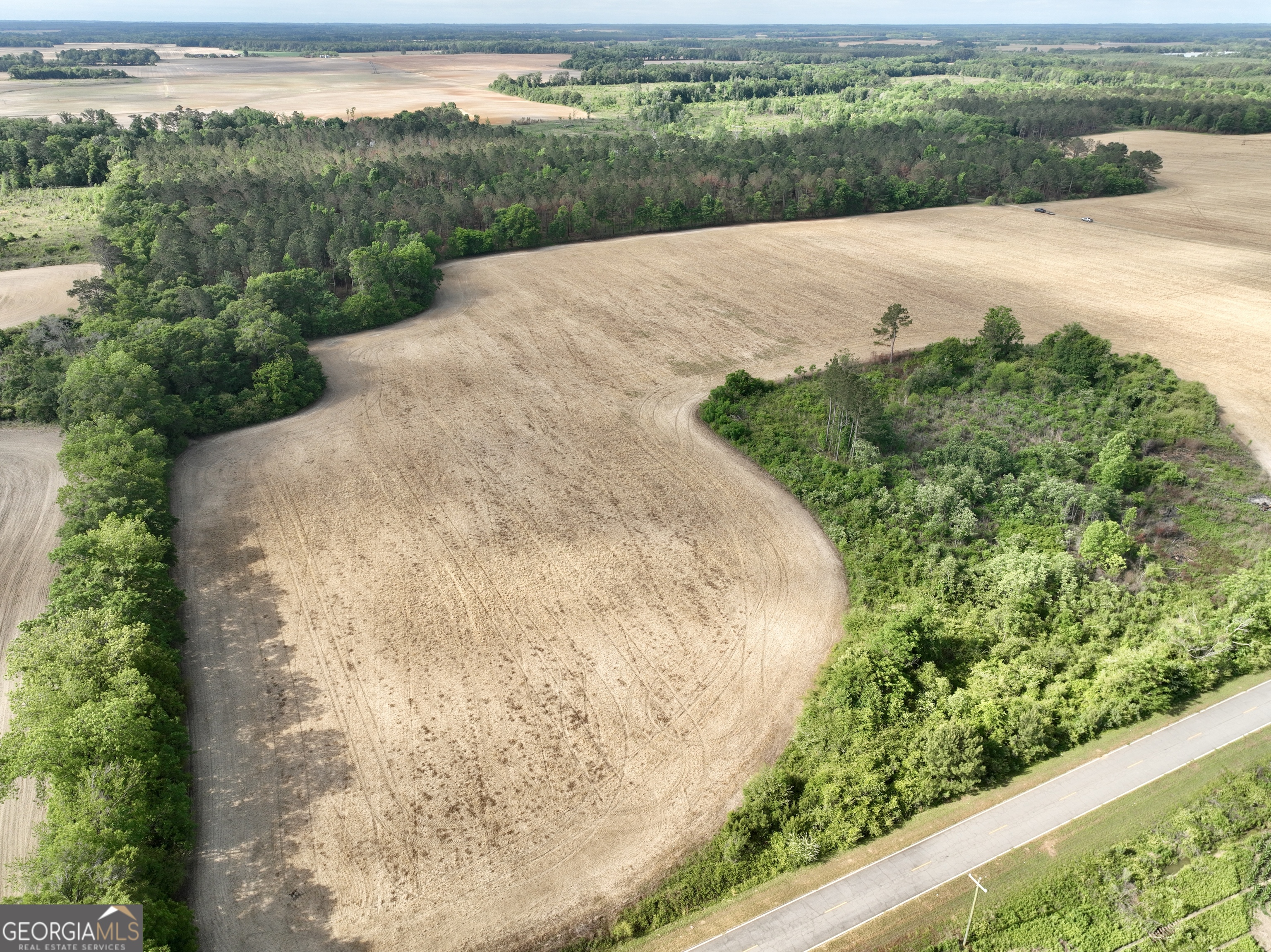 0 Folds Road Pineview, GA 31071 - Photo 41 of 63